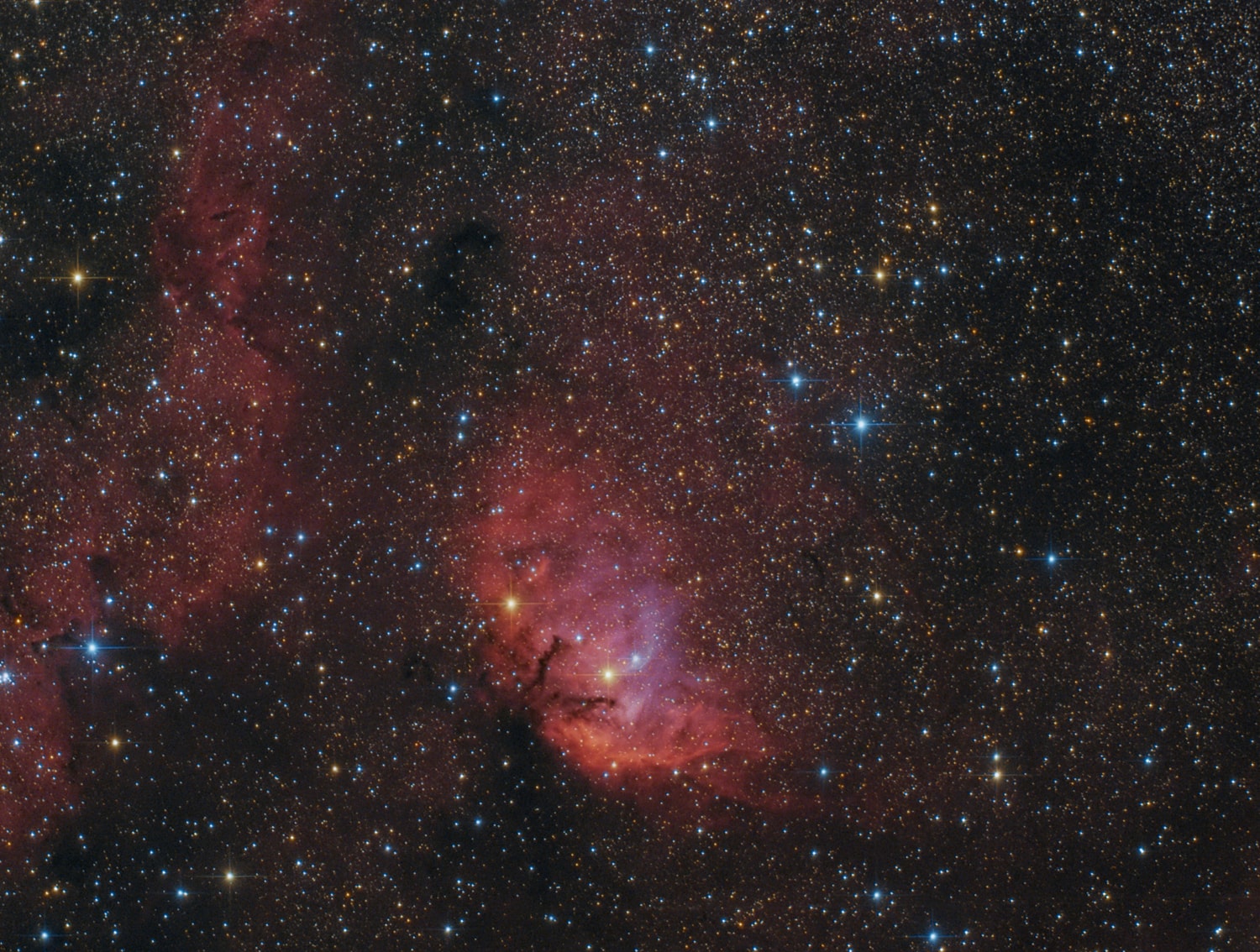 Framing a bright emission region, this telescopic view looks out across a pretty field of stars along the plane of our Milky Way Galaxy, toward the nebula rich constellation Cygnus the Swan. Popularly called the Tulip Nebula, the reddish glowing cloud of interstellar gas and dust is also found in the 1959 catalog by astronomer Stewart Sharpless as Sh2-101. About 8,000 light-years distant and 70 light-years across the complex and beautiful nebula blossoms near the center of this composite image. Ultraviolet radiation from young energetic O stars at the edge of the Cygnus OB3 association, ionizes the atoms and powers the emission from the Tulip Nebula.