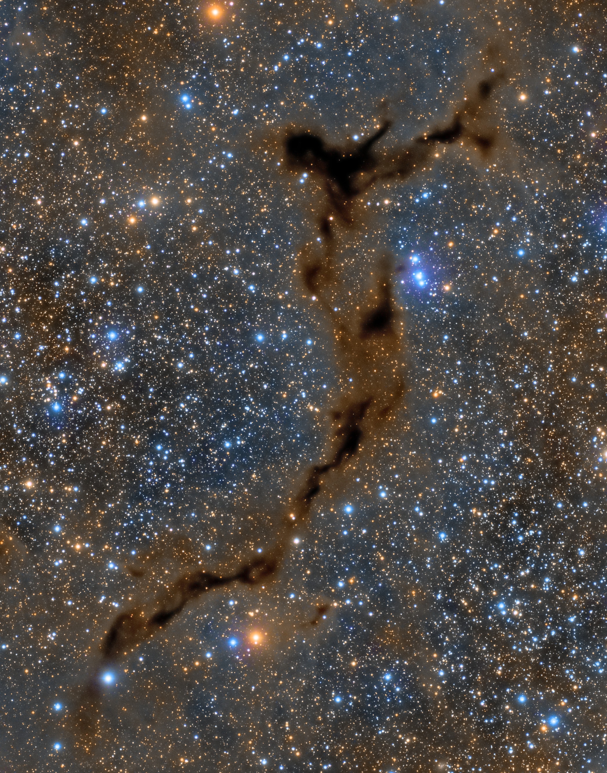 Light-years across, this suggestive shape known as the Seahorse Nebula appears in silhouette against a rich, luminous background of stars. Seen toward the royal northern constellation of Cepheus, the dusty, obscuring clouds are part of a Milky Way molecular cloud some 1,200 light-years distant. It is also listed as Barnard 150 (B150), one of 182 dark markings of the sky cataloged in the early 20th century by astronomer E. E. Barnard. Packs of low mass stars are forming within from collapsing cores only visible at long infrared wavelengths. Still, colorful stars in Cepheus add to the pretty, galactic skyscape.