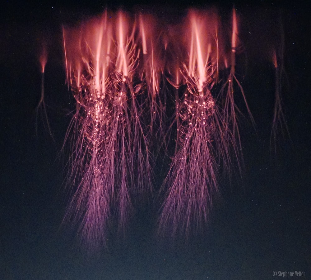 This phenomenon occurs in the sky over our heads, not the sea.  It is a type of lightning known as red sprite, and rarely has it ever been photographed in this detail.  Even though sprites have been recorded for over 30 years, their root cause remains unknown.  Some thunderstorms have them, but most don't. These mysterious bursts of light in the upper atmosphere momentarily resemble gigantic jellyfish. A few years ago high speed videos were taken detailing how red sprites actually develop.  The featured image was captured last month in high definition from Italy.  One unusual feature of sprites is that they are relatively cold -- they operate more like long fluorescent light tubes than hot compact light bulbs.  In general, red sprites take only a fraction of a second to occur and are best seen when powerful thunderstorms are visible from the side.