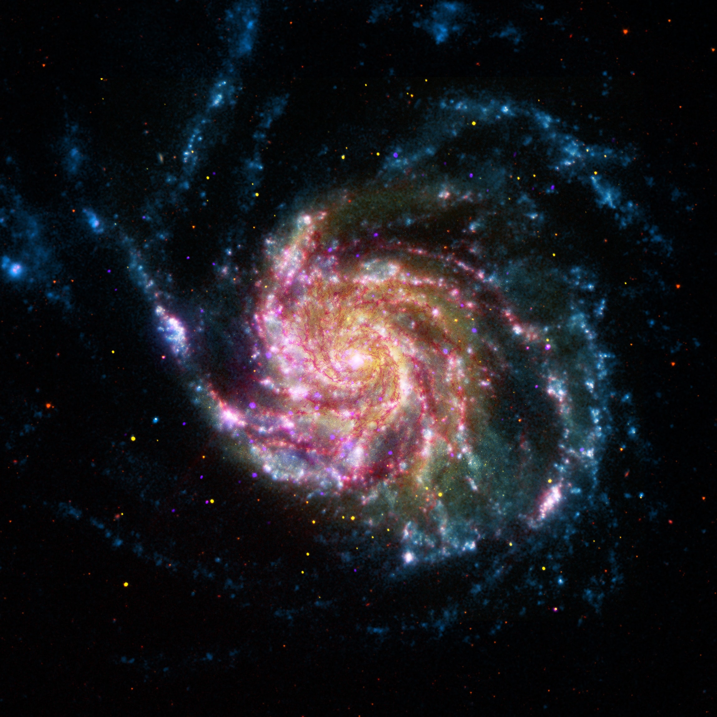One of the last entries in Charles Messier's famous catalog, big, beautiful spiral galaxy M101 is definitely not one of the least. About 170,000 light-years across, this galaxy is enormous, almost twice the size of our own Milky Way Galaxy. M101 was also one of the original spiral nebulae observed with Lord Rosse's large 19th century telescope, the Leviathan of Parsonstown. In contrast, this multiwavelength view of the large island universe is a composite of images recorded by space-based telescopes in the 21st century. Color coded from X-rays to infrared wavelengths (high to low energies), the image data was taken from the Chandra X-ray Observatory (purple), the Galaxy Evolution Explorer (blue), Hubble Space Telescope(yellow), and the Spitzer Space Telescope(red). While the X-ray data trace the location of multimillion degree gas around M101's exploded stars and neutron star and black hole binary star systems, the lower energy data follow the stars and dust that define M101's grand spiral arms. Also known as the Pinwheel Galaxy, M101 lies within the boundaries of the northern constellation Ursa Major, about 25 million light-years away.