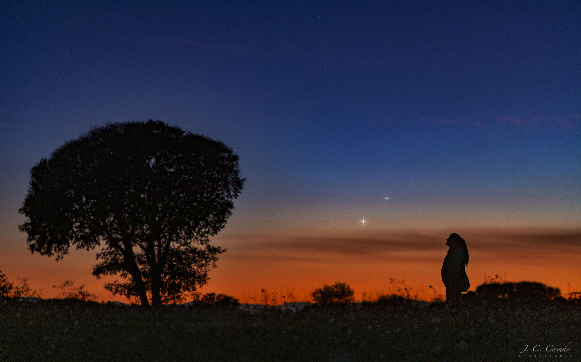What are those two bright objects on the horizon? Venus and Jupiter. The two brightest planets in the night sky passed very close together -- angularly -- just two days ago.  In real space, they were just about as far apart as usual, since Jupiter (on the right) orbits the Sun around seven times farther out than Venus.  The planetary duo were captured together two days ago in a picturesque sunset sky from Llers, Catalonia, Spain between a tree and the astrophotographer's daughter.  These two planets will continue to stand out in the evening sky, toward the west, for the next few days, with a sliver of a crescent Moon and a fainter Saturn also visible nearby.  As November ends, Jupiter will sink lower into the sunset horizon with each subsequent night, while Venus will rise higher.  The next Jupiter-Venus conjunction will occur in early 2021.