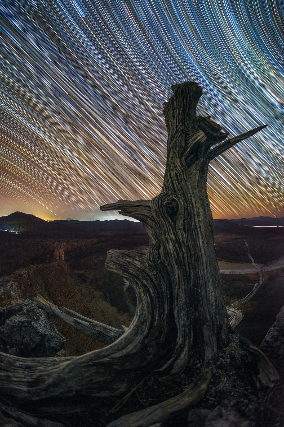 In time stars trace lines through the night sky on a rotating planet. Taken over two hours or more, these digitally added consecutive exposures were made with a camera and wide angle lens fixed to a tripod near Orel farm, Primorsky Krai, Russia, planet Earth. The stars trail in concentric arcs around the planet's south celestial pole below the scene's horizon, and north celestial pole off the frame at the upper right. Combined, the many short exposures also bring out the pretty star colours. Bluish trails are from stars hotter than Earth's Sun, while yellowish trails are from cooler stars. A long time ago this tree blossomed, but now reveals the passage of time in the wrinkled and weathered lines of its remains.
