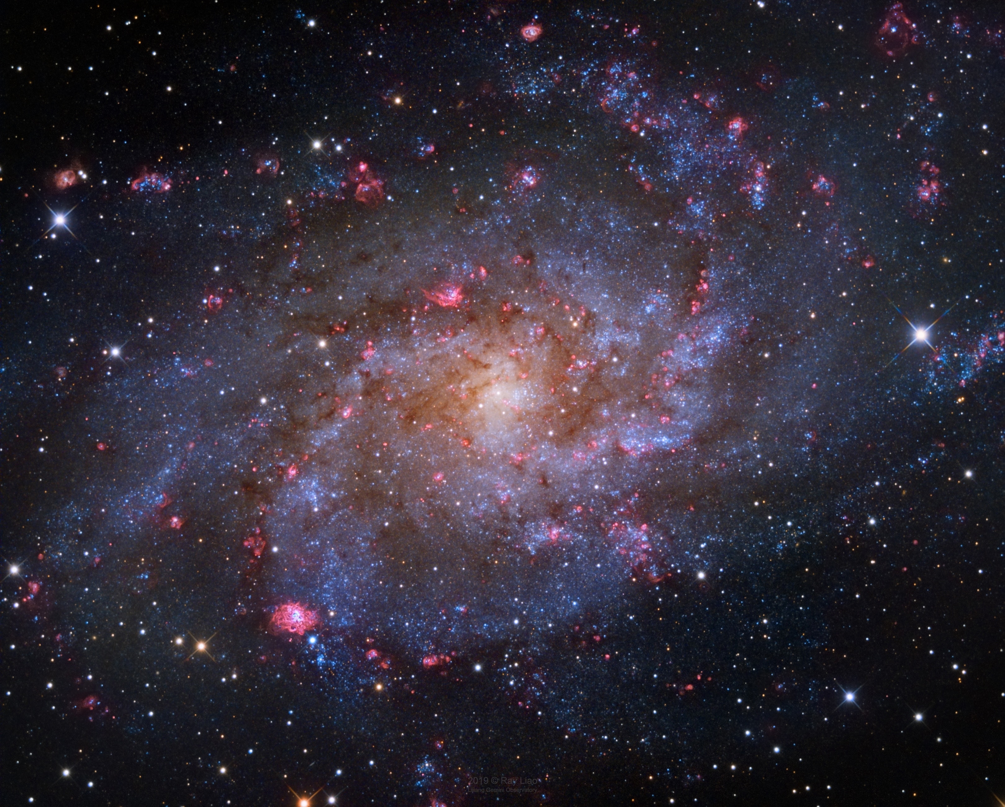 The small, northern constellation Triangulum harbors this magnificent face-on spiral galaxy, M33. Its popular names include the Pinwheel Galaxy or just the Triangulum Galaxy. M33 is over 50,000 light-years in diameter, third largest in the Local Group of galaxies after the Andromeda Galaxy (M31), and our own Milky Way. About 3 million light-years from the Milky Way, M33 is itself thought to be a satellite of the Andromeda Galaxy and astronomers in these two galaxies would likely have spectacular views of each other's grand spiral star systems. As for the view from planet Earth, this sharp image shows off M33's blue star clusters and pinkish star forming regions along the galaxy's loosely wound spiral arms. In fact, the cavernous NGC 604 is the brightest star forming region, seen here at about the 7 o'clock position from the galaxy center. Like M31, M33's population of well-measured variable stars have helped make this nearby spiral a cosmic yardstick for establishing the distance scale of the Universe.