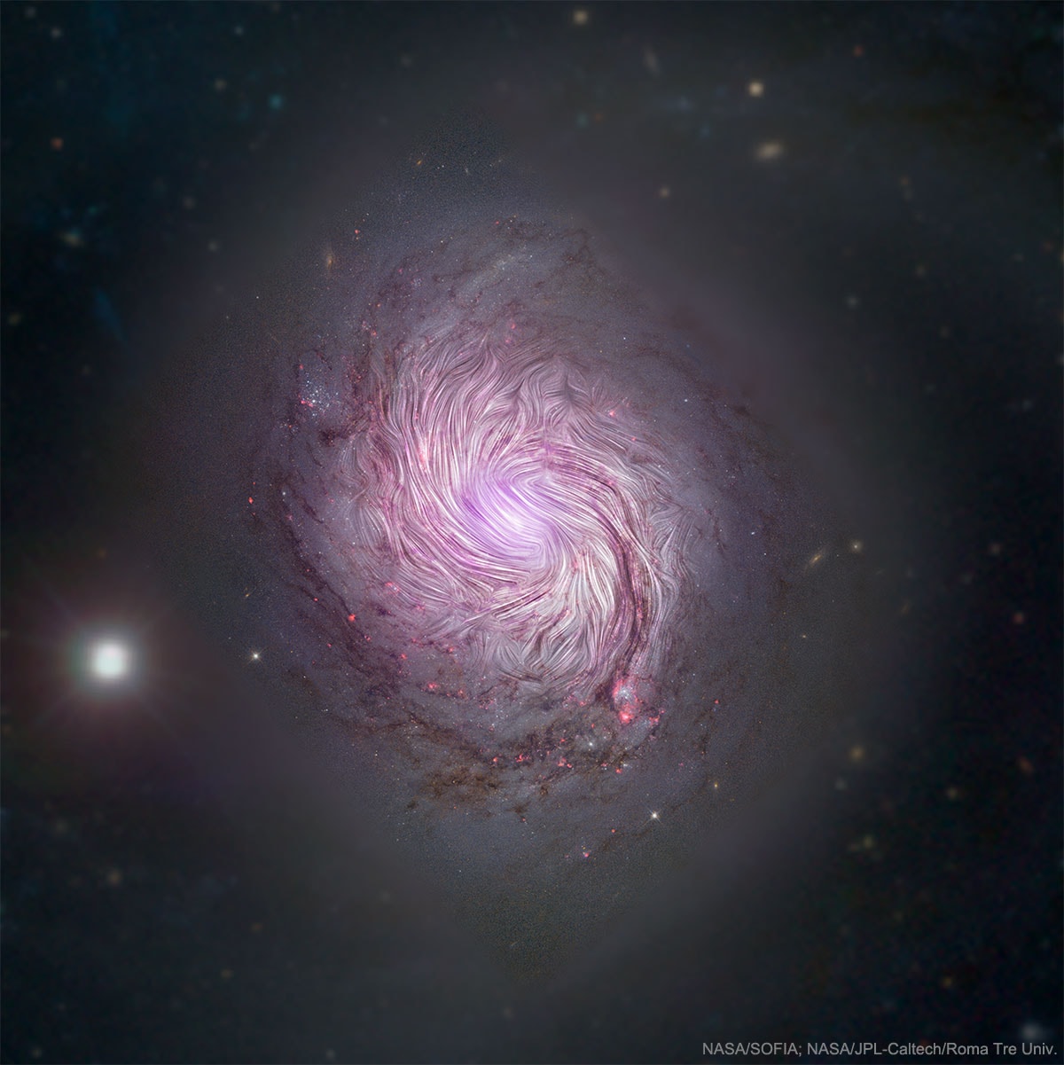 Can magnetic fields help tell us how spiral galaxies form and evolve?  To find out, the HAWC+ instrument on NASA's airborne (747) SOFIA observatory observed nearby spiral galaxy M77. HAWC+ maps magnetism by observing polarized infrared light emitted by elongated dust grains rotating in alignment with the local magnetic field.  The HAWC+ image shows that magnetic fields do appear to trace the spiral arms in the inner regions of M77, arms that likely highlight density waves in the inflowing gas, dust and stars caused by the gravity of the galaxy's oval shape. The featured picture superposes the HAWC+ image over diffuse X-ray emission mapped by NASA's NuSTAR satellite and visible light images taken by Hubble and the SDSS. M77 is located about 47 million light years away toward the constellation of the Sea Monster (Cetus).