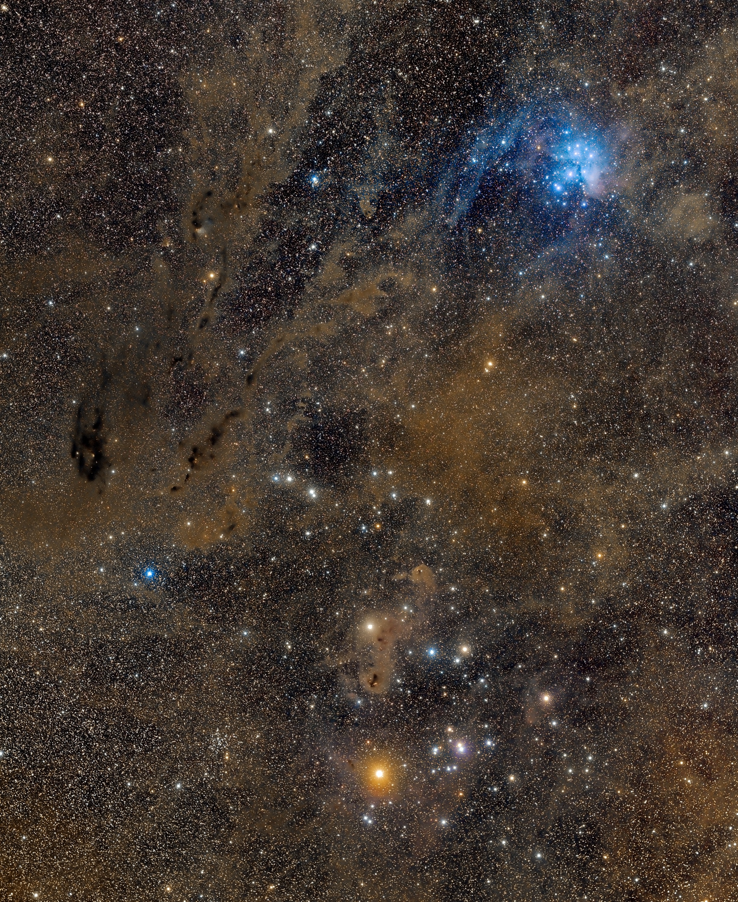This cosmic vista stretches almost 20 degrees from top to bottom, across the dusty constellation Taurus. It begins at the Pleiades and ends at the Hyades, two star clusters recognized since antiquity in Earth's night sky. At top, the compact Pleiades star cluster is about 400 light-years away. The lovely grouping of young cluster stars shine through dusty clouds that scatter blue starlight. At bottom, the V-shaped Hyades cluster looks more spread out in comparison and lies much closer, 150 light-years away. The Hyades cluster stars seem anchored by bright Aldebaran, a red giant star with a yellowish appearance. But Aldebaran actually lies only 65 light-years distant and just by chance along the line of sight to the Hyades cluster. Faint and darkly obscuring dust clouds found near the edge of the Taurus Molecular Cloud are also evident throughout the celestial scene. The wide field of view includes the dark nebula Barnard 22 at left with youthful star T Tauri and Hind's variable nebula just above Aldebaran in the frame.