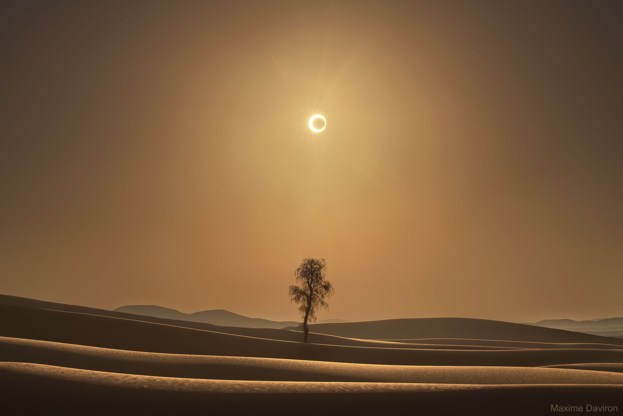 A good place to see a ring-of-fire eclipse, it seemed, would be from a desert. In a desert, there should be relatively few obscuring clouds and trees.  Therefore late last December a group of photographers traveled to the United Arab Emirates and Rub al-Khali, the largest continuous sand desert in world, to capture clear images of an unusual eclipse that would be passing over.  A ring-of-fire eclipse is an annular eclipse that occurs when the Moon is far enough away on its elliptical orbit around the Earth so that it appears too small, angularly, to cover the entire Sun. At the maximum of an annular eclipse, the edges of the Sun can be seen all around the edges of the Moon, so that the Moon appears to be a dark spot that covers most -- but not all -- of the Sun. This particular eclipse, they knew, would peak soon after sunrise.  After seeking out such a dry and barren place, it turned out that some of the most interesting eclipse images actually included a tree in the foreground, because, in addition to the sand dunes, the tree gave the surreal background a contrasting sense of normalcy, scale, and texture.    Explore the Universe: Random APOD Generator