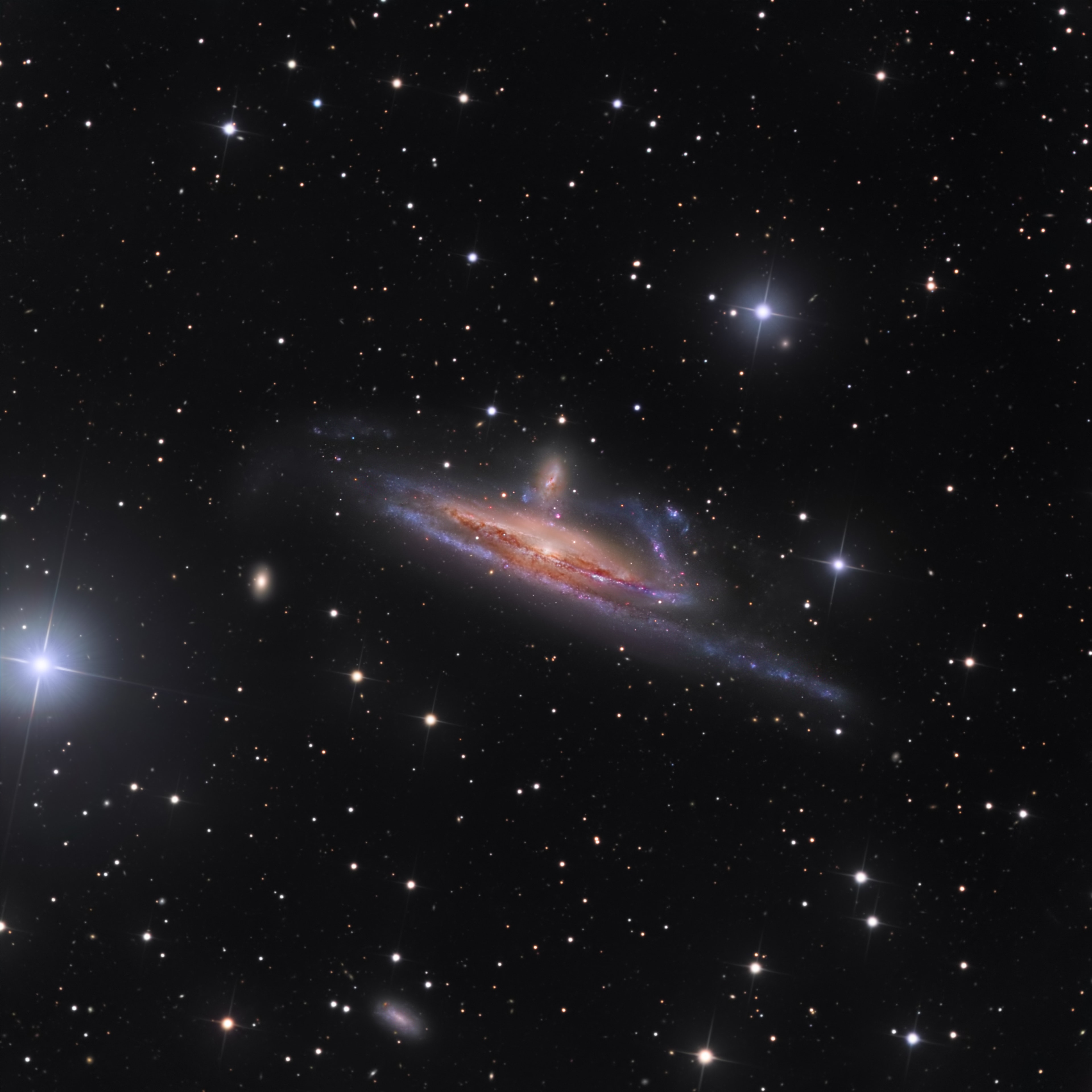 Large galaxies grow by eating small ones. Even our own galaxy engages in a sort of galactic cannibalism, absorbing small galaxies that are too close and are captured by the Milky Way's gravity. In fact, the practice is common in the universe and illustrated by this striking pair of interacting galaxies from the banks of the southern constellation Eridanus, The River. Located over 50 million light years away, the large, distorted spiral NGC 1532 is seen locked in a gravitational struggle with dwarf galaxy NGC 1531 (right of center), a struggle the smaller galaxy will eventually lose. Seen edge-on, spiral NGC 1532 spans about 100,000 light-years. Nicely detailed in this sharp image, the NGC 1532/1531 pair is thought to be similar to the well-studied system of face-on spiral and small companion known as M51.