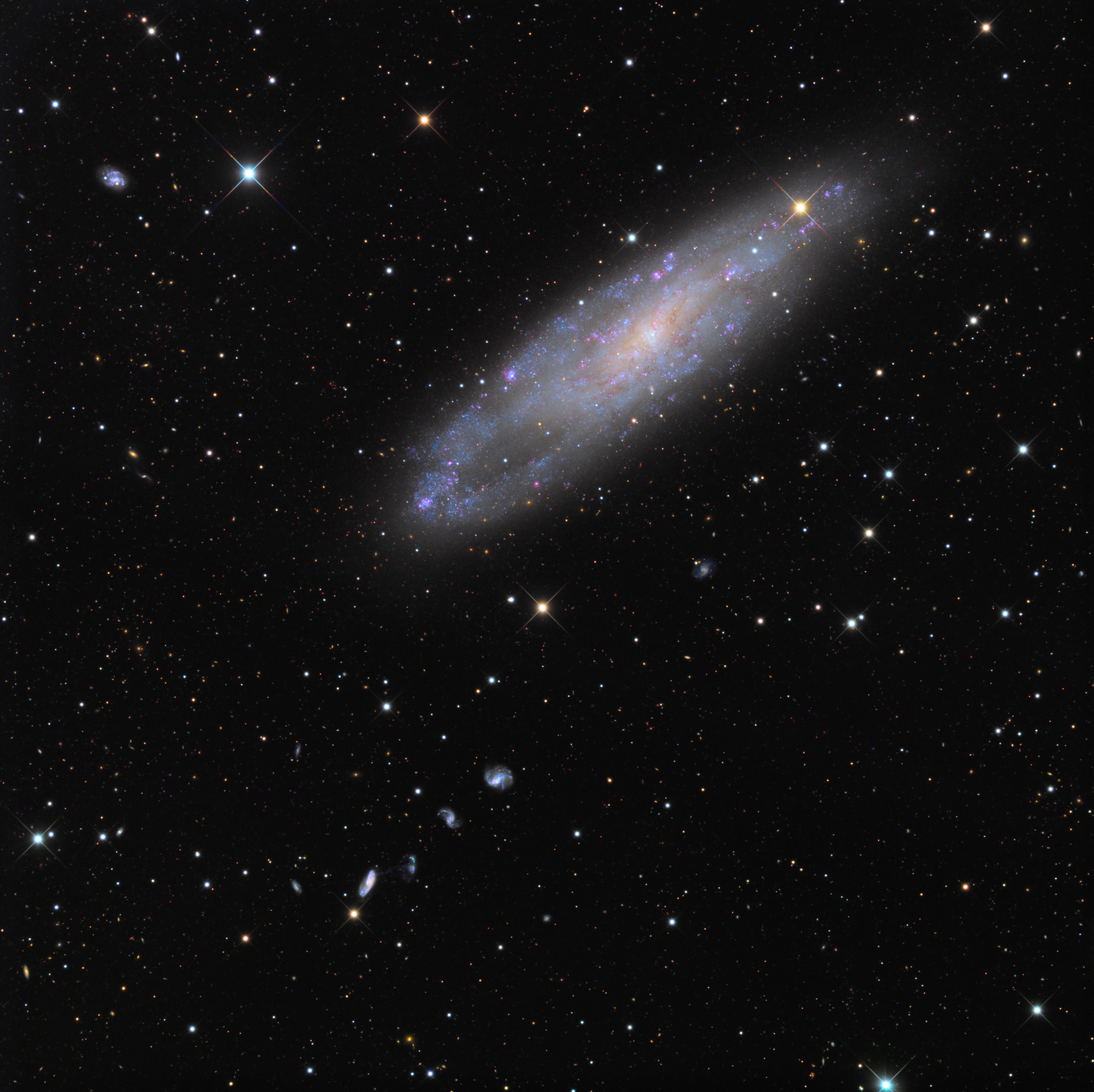 About 70,000 light-years across, NGC 247 is a spiral galaxy smaller than our Milky Way. Measured to be only 11 million light-years distant it is nearby though. Tilted nearly edge-on as seen from our perspective, it dominates this telescopic field of view toward the southern constellation Cetus. The pronounced void on one side of the galaxy's disk recalls for some its popular name, the Needle's Eye galaxy. Many background galaxies are visible in this sharp galaxy portrait, including the remarkable string of four galaxies just below and left of NGC 247 known as Burbidge's Chain. Burbidge's Chain galaxies are about 300 million light-years distant. NGC 247 itself is part of the Sculptor Group of galaxies along with the shiny spiral NGC 253.