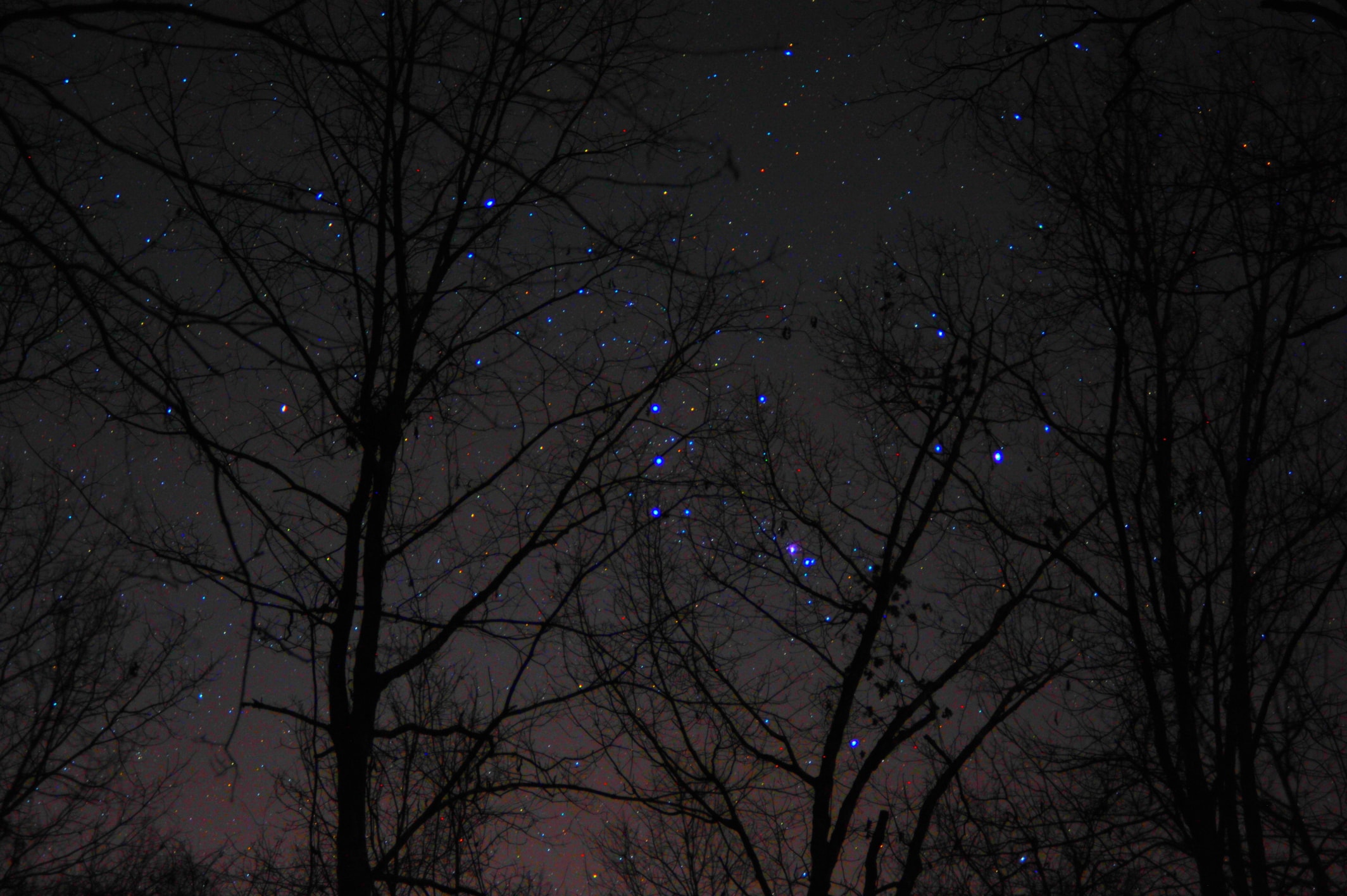 Begirt with many a blazing star, Orion the Hunter is one of the most recognizable constellations. In this night skyscape the Hunter's stars rise in the northern hemisphere's winter sky on December 30, 2019, tangled in bare trees near Newnan, Georgia, USA. Red supergiant star Betelgeuse stands out in yellowish hues at Orion's shoulder left of center, but it no longer so strongly rivals the blue supergiant star Rigel at the Hunter's foot. In fact, skygazers around planet Earth can see a strikingly fainter Betelgeuse now, its brightness fading by more than half in the final months of 2019. Betelgeuse has long been known to be a variable star, changing its brightness in multiple cycles with approximate short and long term periods of hundreds of days to many years. The star is now close to its faintest since photometric measurements in 1926/27, likely due in part to a near coincidence in the minimum of short and long term cycles. Betelgeuse is also recognized as a nearby red supergiant star that will end its life in a core collapse supernova explosion sometime in the next 100,000 years, though that cosmic cataclysm will take place a safe 700 light-years or so from our fair planet.