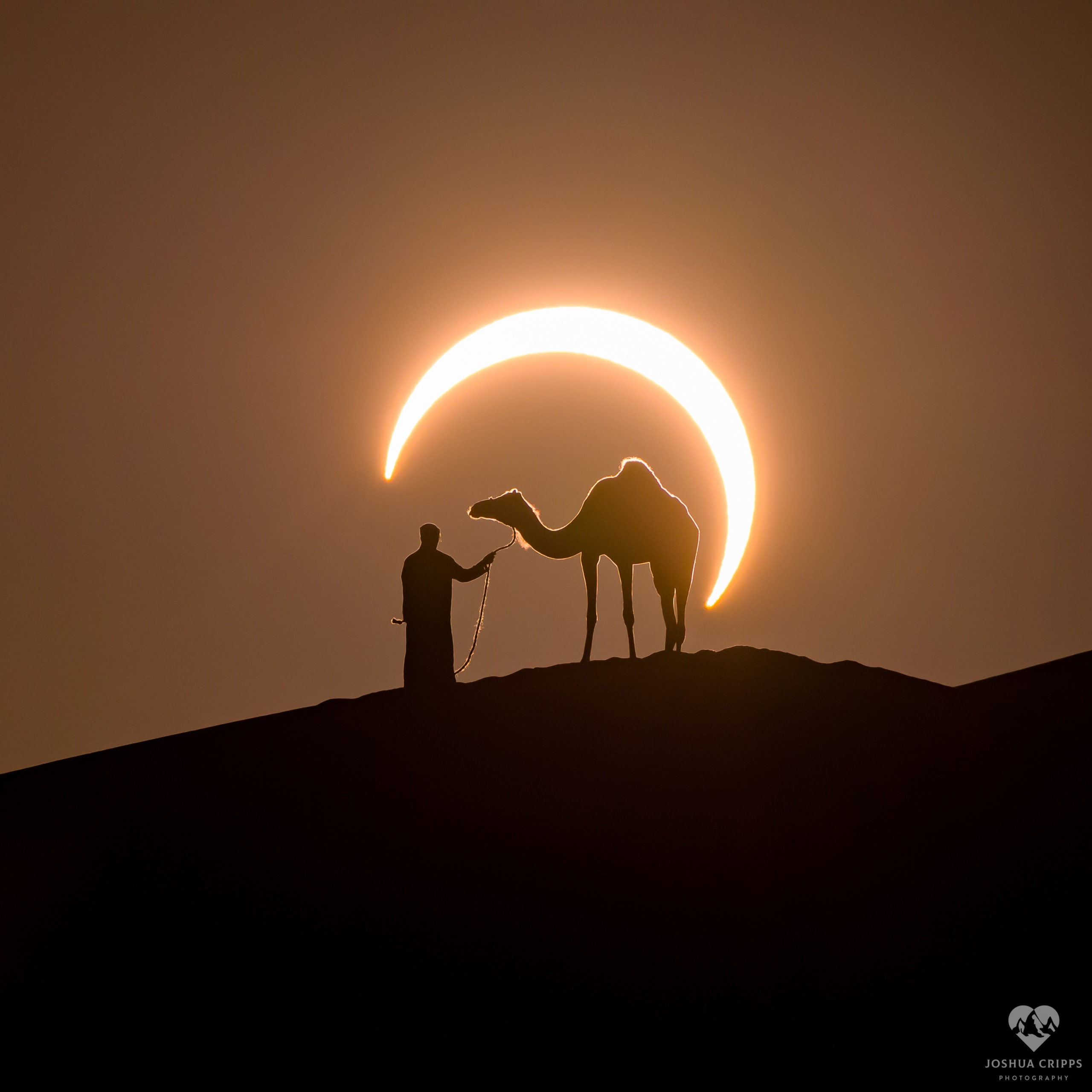 What's happening behind that camel? A partial eclipse of the Sun. About six and a half weeks ago, the Moon passed completely in front of the Sun as seen from a narrow band on the Earth. Despite (surely) many camels being located in this narrow band, only one found itself stationed between this camera, the distant Moon, and the even more distant Sun. To create this impressive superposition, though, took a well-planned trip to the United Arab Emirates, careful alignments, and accurate timings on the day of the eclipse.  Although the resulting featured image shows a partially eclipsed Sun rising, the Moon went on to appear completely engulfed by the Sun in an annular eclipse known as a ring of fire.  Forward scattering of sunlight, dominated by quantum mechanical diffraction, gives the camel hair and rope fray an unusual glow.  The next solar eclipse is also an annular eclipse and will occur this coming June.   News: Solar Orbiter Launched