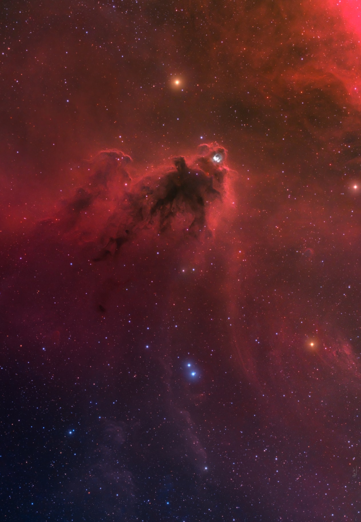 The silhouette of an intriguing dark nebula inhabits this cosmic scene. Lynds' Dark Nebula (LDN) 1622 appears against a faint background of glowing hydrogen gas only visible in long telescopic exposures of the region. In contrast, the brighter reflection nebula vdB 62 is more easily seen, just above and right of center. LDN 1622 lies near the plane of our Milky Way Galaxy, close on the sky to Barnard's Loop, a large cloud surrounding the rich complex of emission nebulae found in the Belt and Sword of Orion. With swept-back outlines, the obscuring dust of LDN 1622 is thought to lie at a similar distance, perhaps 1,500 light-years away. At that distance, this 1 degree wide field of view would span about 30 light-years. Young stars do lie hidden within the dark expanse and have been revealed in Spitzer Space telescope infrared images. Still, the foreboding visual appearance of LDN 1622 inspires its popular name, the Boogeyman Nebula.