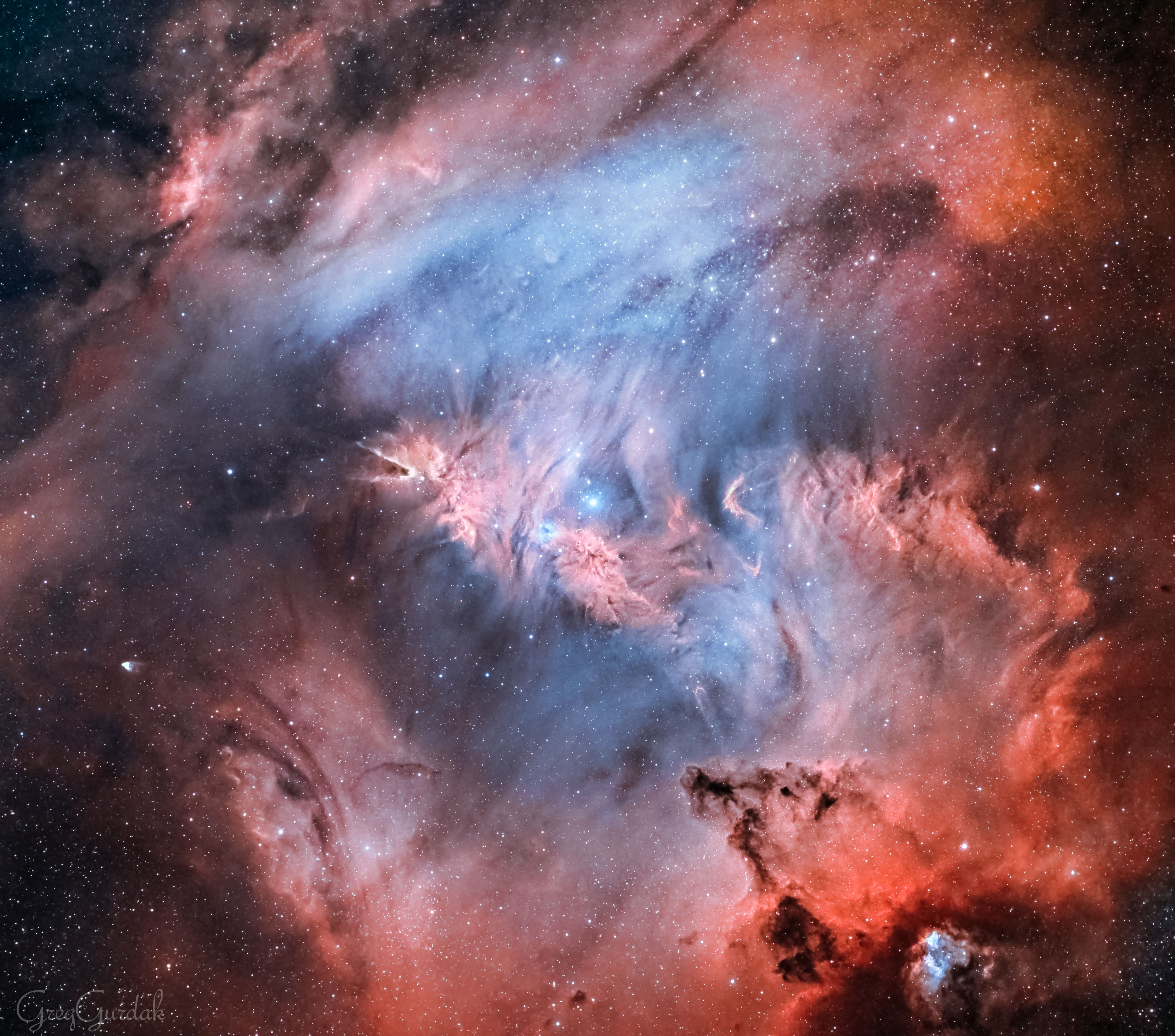 What do the following things have in common: a cone, the fur of a fox, and a Christmas tree?  Answer: they all occur in the constellation of the unicorn (Monoceros).  Pictured as a star forming region and cataloged as NGC 2264, the complex jumble of cosmic gas and dust is about 2,700 light-years distant and mixes reddish emission nebulae excited by energetic light from newborn stars with dark interstellar dust clouds. Where the otherwise obscuring dust clouds lie close to the hot, young stars they also reflect starlight, forming blue reflection nebulae. The featured wide-field image spans over three times the diameter of a full moon, covering over 100 light-years at the distance of NGC 2264. Its cast of cosmic characters includes the Fox Fur Nebula, whose convoluted pelt lies just to the lower right of the image center, bright variable star S Mon visible just above the Fox Fur, and the Cone Nebula just to the left.  Given their distribution, the stars of NGC 2264 are also known as the Christmas Tree star cluster.