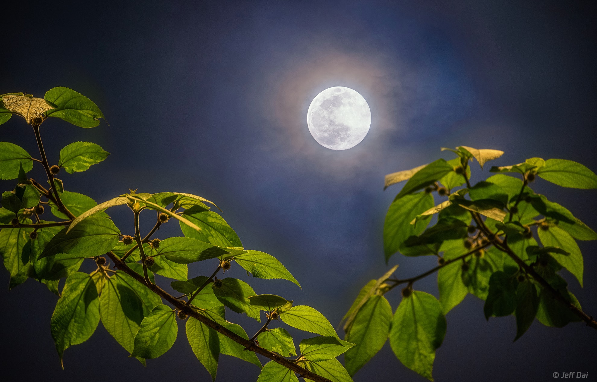 From home this Full Moon looked bright. Around our fair planet it rose as the Sun set on April 7/8, the first Full Moon after the vernal equinox and the start of northern hemisphere spring. April's full lunar phase was also near perigee, the closest point in the Moon's elliptical orbit. In fact, it was nearer perigee than any other Full Moon of 2020 making it the brightest Full Moon of the year. To create the visual experience a range of exposures was blended to capture the emerging foreground foliage and bright lunar disk. The hopefull image of spring was recorded from a home garden in skies over Chongqing, China.   April Full Moon Gallery: Notable images submitted to APOD