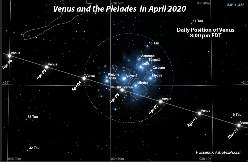 Venus is currently the brilliant evening star. Shared around world, in tonight's sky Venus will begin to wander across the face of the lovely Pleiades star cluster. This digital sky map illustrates the path of the inner planet as the beautiful conjunction evolves, showing its position on the sky over the next few days. The field of view shown is appropriate for binocular equipped skygazers but the star cluster and planet are easily seen with the naked-eye. As viewed from our fair planet, Venus passed in front of the stars of the Seven Sisters 8 years ago, and will again 8 years hence. In fact, orbiting the Sun 13 Venus years are almost equal to 8 years on planet Earth. So we can expect our sister planet to visit nearly the same place in our sky every 8 years.