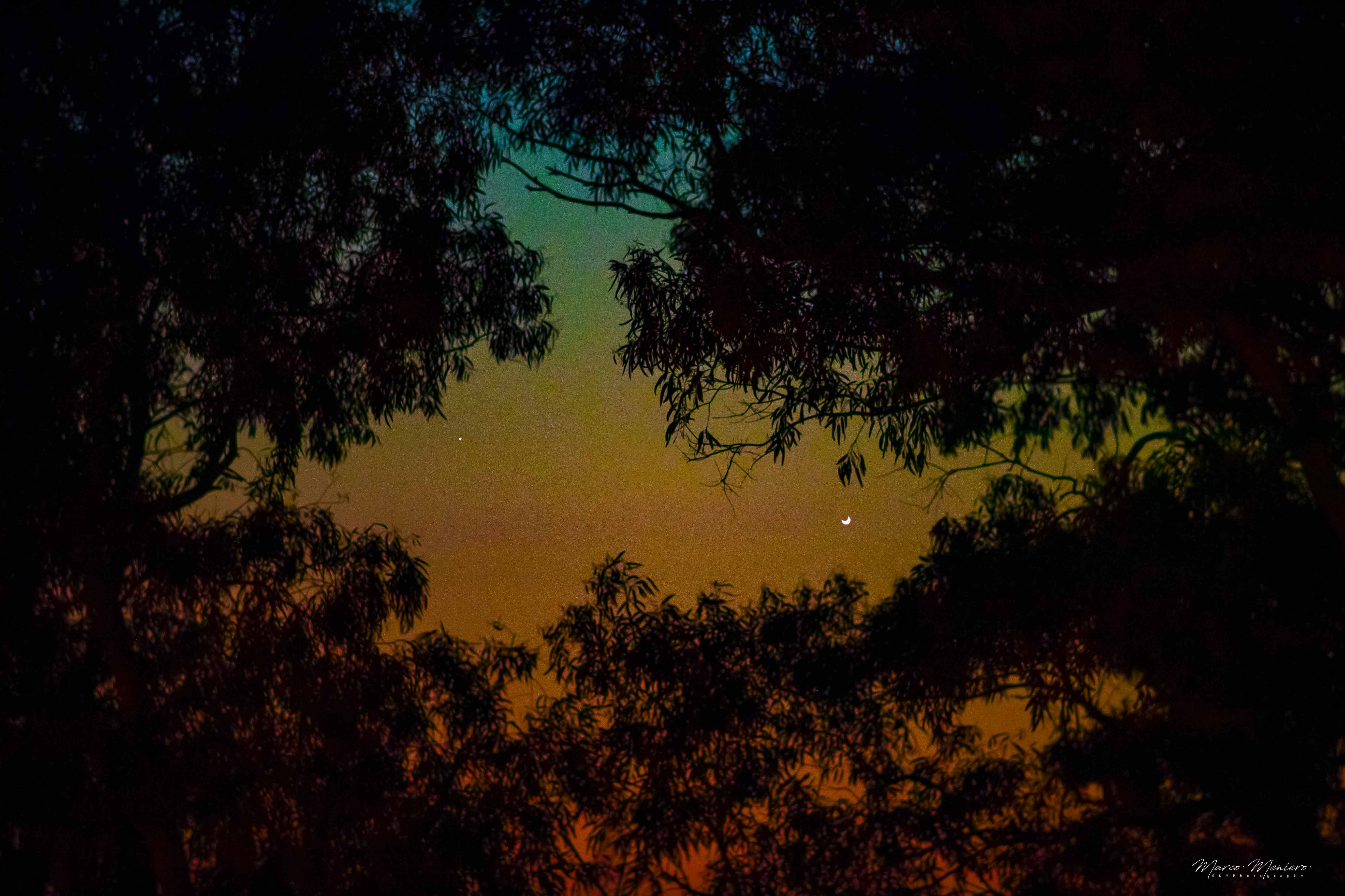 That's not a bright star and crescent Moon caught between branches of a eucalyptus tree. It's Venus in a crescent phase and Mercury. Near the western horizon after sunset, the two inner planets closely shared this telescopic field of view on May 22, seen from a balcony in Civitavecchia, Italy. Venus, the very bright celestial beacon, is wandering lower into the evening twilight. It grows larger in apparent size and shows a thinner crescent as it heads toward its inferior conjunction, positioned between Earth and Sun on June 3. Mercury, in a fuller phase, is climbing in the western sky though, reaching its maximum angular distance from the Sun on June 4 Still, this remarkably close pairing with brilliant Venus made Mercury, usually lost in bright twilight skies, easier to spot from planet Earth.   Gallery: Notable Venus & Mercury Conjunction 2020 Images submitted to APOD
