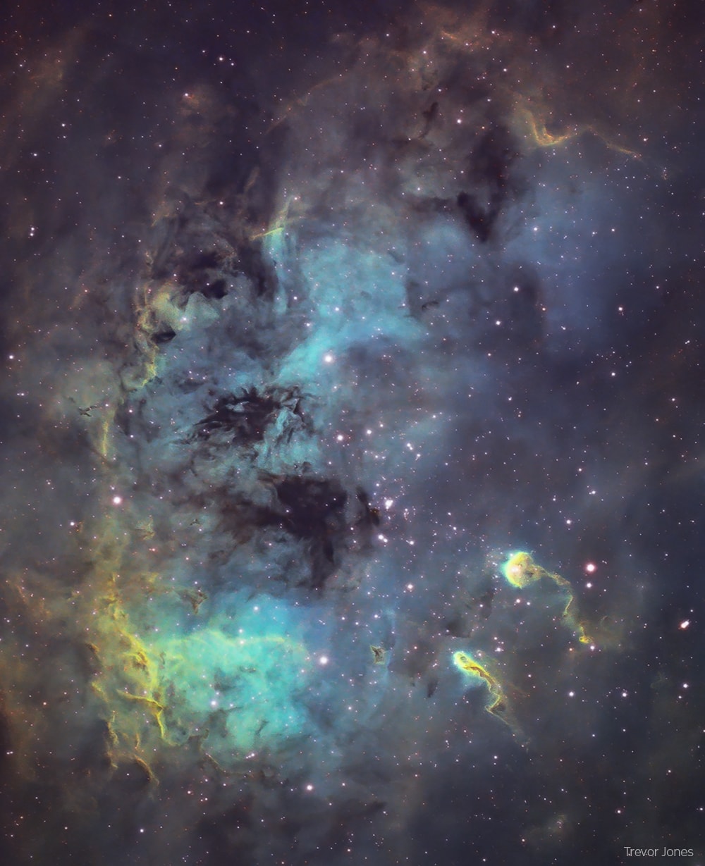 This telescopic close-up shows off the central regions of otherwise faint emission nebula IC 410, captured under backyard suburban skies with narrowband filters. It also features two remarkable inhabitants of the cosmic pond of gas and dust. Below and right of center are the tadpoles of IC 410. Partly obscured by foreground dust, the nebula itself surrounds NGC 1893, a young galactic cluster of stars. Formed in the interstellar cloud a mere 4 million years ago, the intensely hot, bright cluster stars energize the glowing gas. Composed of denser cooler gas and dust, the tadpoles are around 10 light-years long and are likely sites of ongoing star formation. Sculpted by stellar winds and radiation their heads are outlined by bright ridges of ionized gas while their tails trail away from the cluster's central young stars. IC 410 lies some 10,000 light-years away, toward the nebula-rich constellation Auriga.