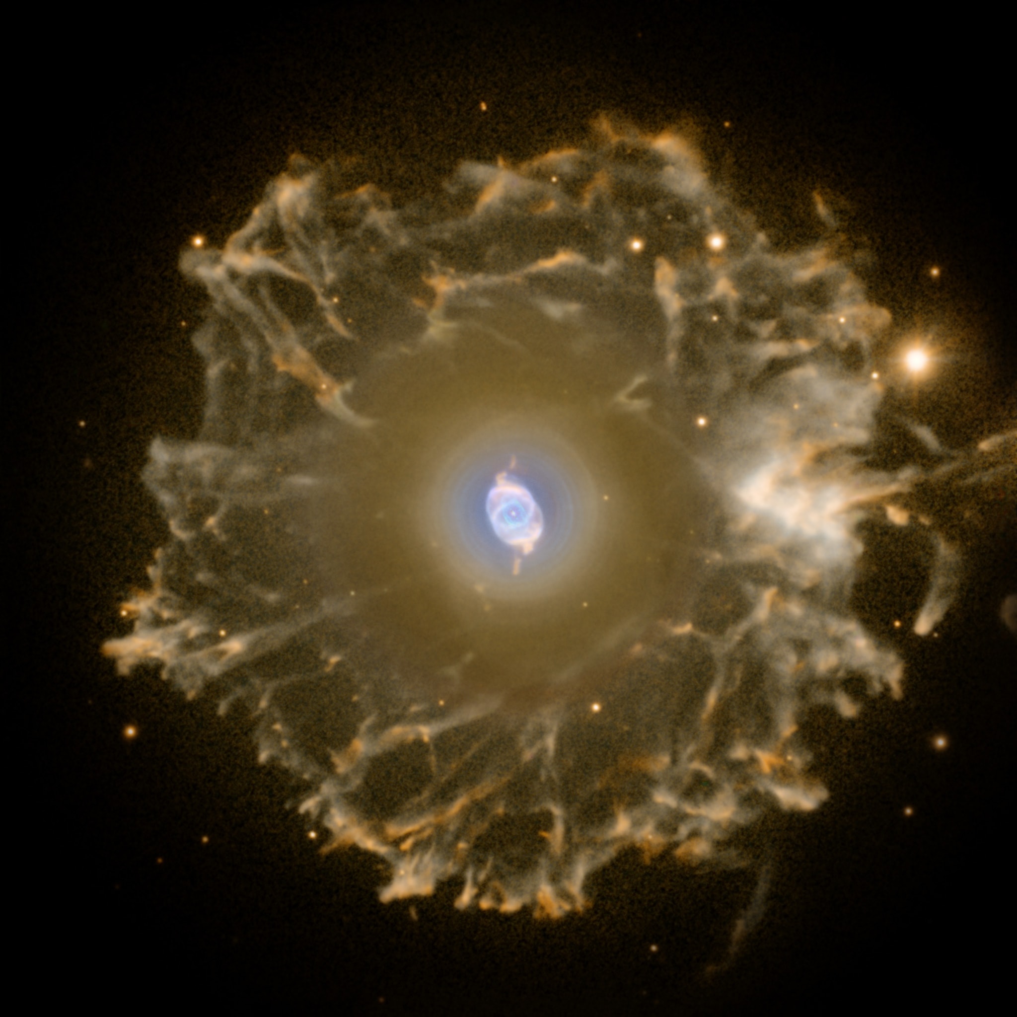 The Cat's Eye Nebula (NGC 6543) is one of the best known planetary nebulae in the sky. Its haunting symmetries are seen in the very central region of this stunning false-color picture, processed to reveal the enormous but extremely faint halo of gaseous material, over three light-years across, which surrounds the brighter, familiar planetary nebula. Made with data from the Nordic Optical Telescope in the Canary Islands, the composite picture shows extended emission from the nebula. Planetary nebulae have long been appreciated as a final phase in the life of a Sun-like star. Only much more recently however, have some planetaries been found to have halos like this one, likely formed of material shrugged off during earlier active episodes in the star's evolution. While the planetary nebula phase is thought to last for around 10,000 years, astronomers estimate the age of the outer filamentary portions of this halo to be 50,000 to 90,000 years.