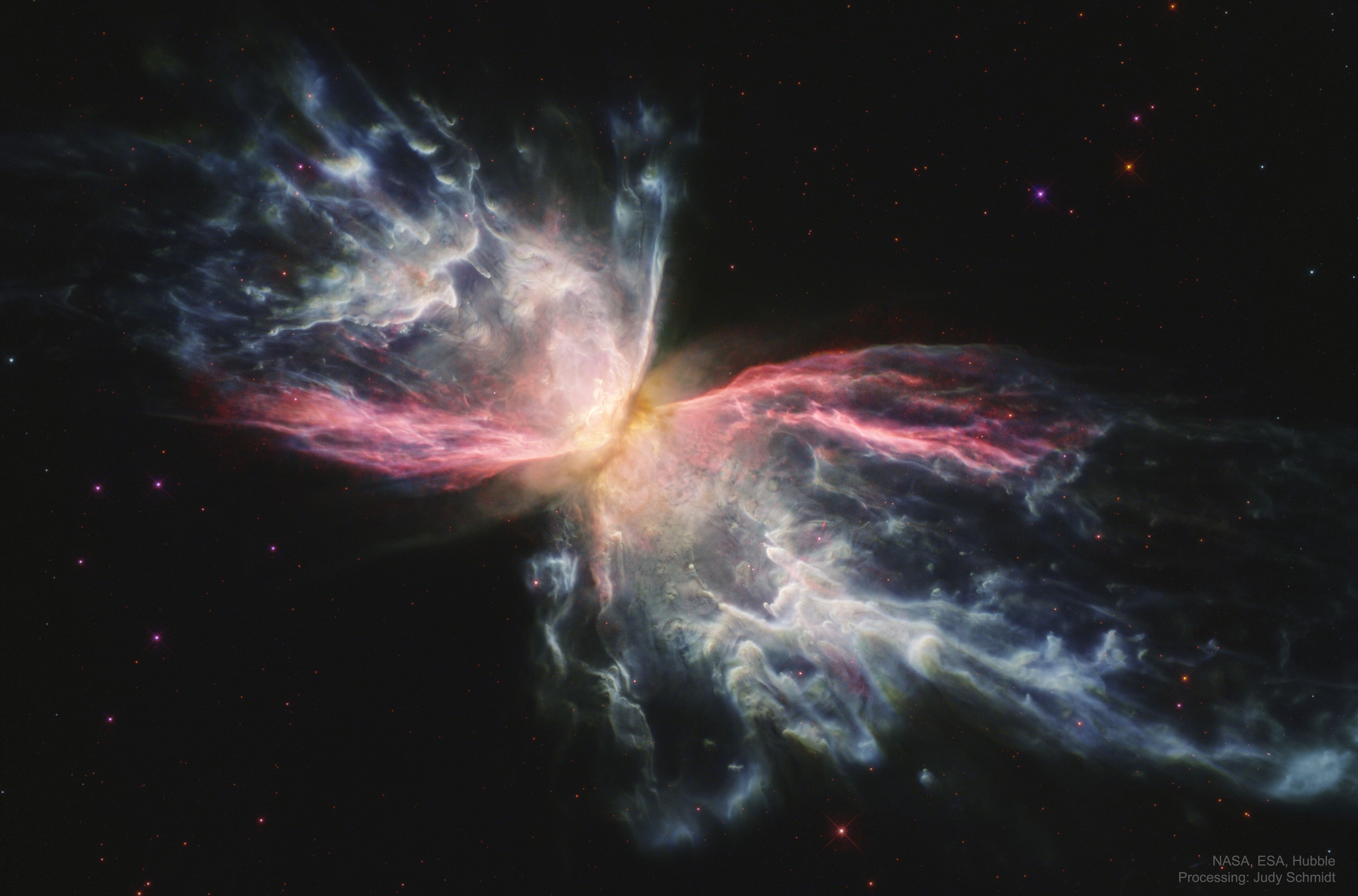 Can stars, like caterpillars, transform themselves into butterflies? No, but in the case of the Butterfly Nebula -- it sure looks like it. Though its wingspan covers over 3 light-years and its estimated surface temperature exceeds 200,000 degrees, C, the dying central star of NGC 6302, the featured planetary nebula, has become exceptionally hot, shining brightly in visible and ultraviolet light but hidden from direct view by a dense torus of dust. This sharp close-up was recorded by the Hubble Space Telescope and is reprocessed here to show off the remarkable details of the complex planetary nebula, highlighting in particular light emitted by iron, shown in red.  NGC 6302 lies about 4,000 light-years away in the arachnologically correct constellation of the Scorpion (Scorpius). Planetary nebulas evolve from outer atmospheres of stars like our Sun, but usually fade in about 20,000 years.   Great Debates in Astronomy: 2020: How will humanity first discover extraterrestrial life?