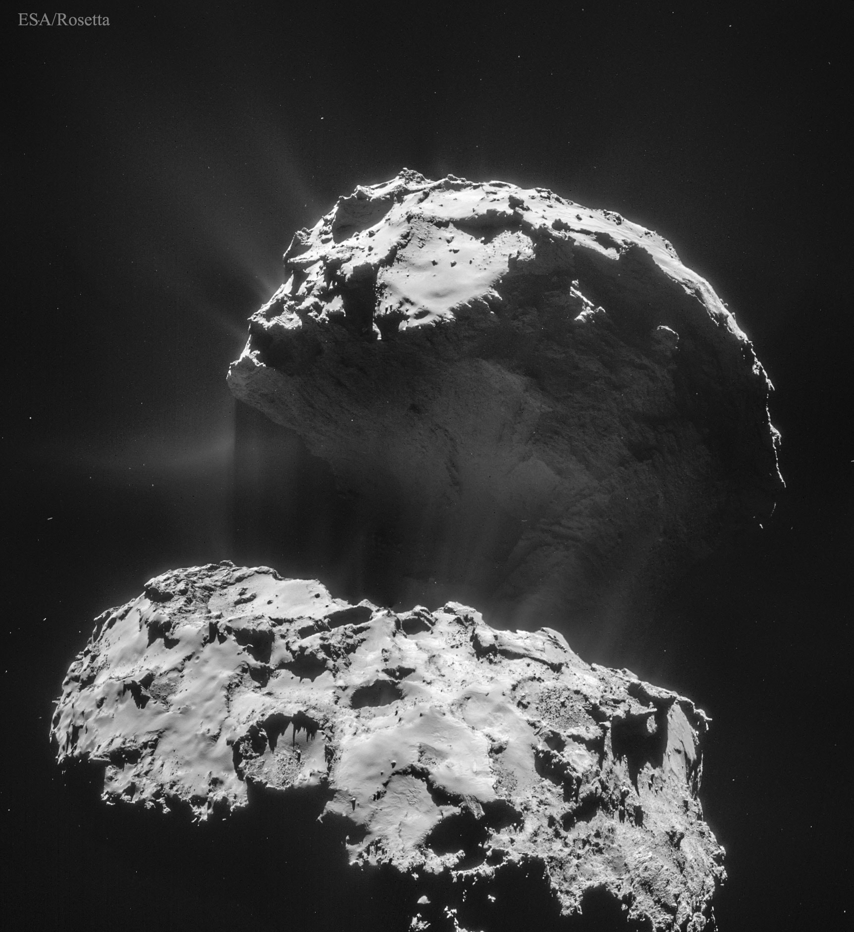 Where do comet tails come from?  There are no obvious places on the nuclei of comets from which the jets that create comet tails emanate.  One of the best images of emerging jets is shown in the featured picture, taken in 2015 by ESA's robotic Rosetta spacecraft that orbited Comet 67P/Churyumov-Gerasimenko (Comet CG) from 2014 to 2016.  The picture shows plumes of gas and dust escaping numerous places from Comet CG's nucleus as it neared the Sun and heated up.  The comet has two prominent lobes, the larger one spanning about 4 kilometers, and a smaller 2.5-kilometer lobe connected by a narrow neck. Analyses indicate that evaporation must be taking place well inside the comet's surface to create the jets of dust and ice that we see emitted through the surface.  Comet CG (also known as Comet 67P) loses in jets about a meter of radius during each of its 6.44-year orbits around the Sun, a rate at which will completely destroy the comet in only thousands of years. In 2016, Rosetta's mission ended with a controlled impact onto Comet CG's surface.   Comet NEOWISE from Around the Globe: Notable Images Submitted to APOD