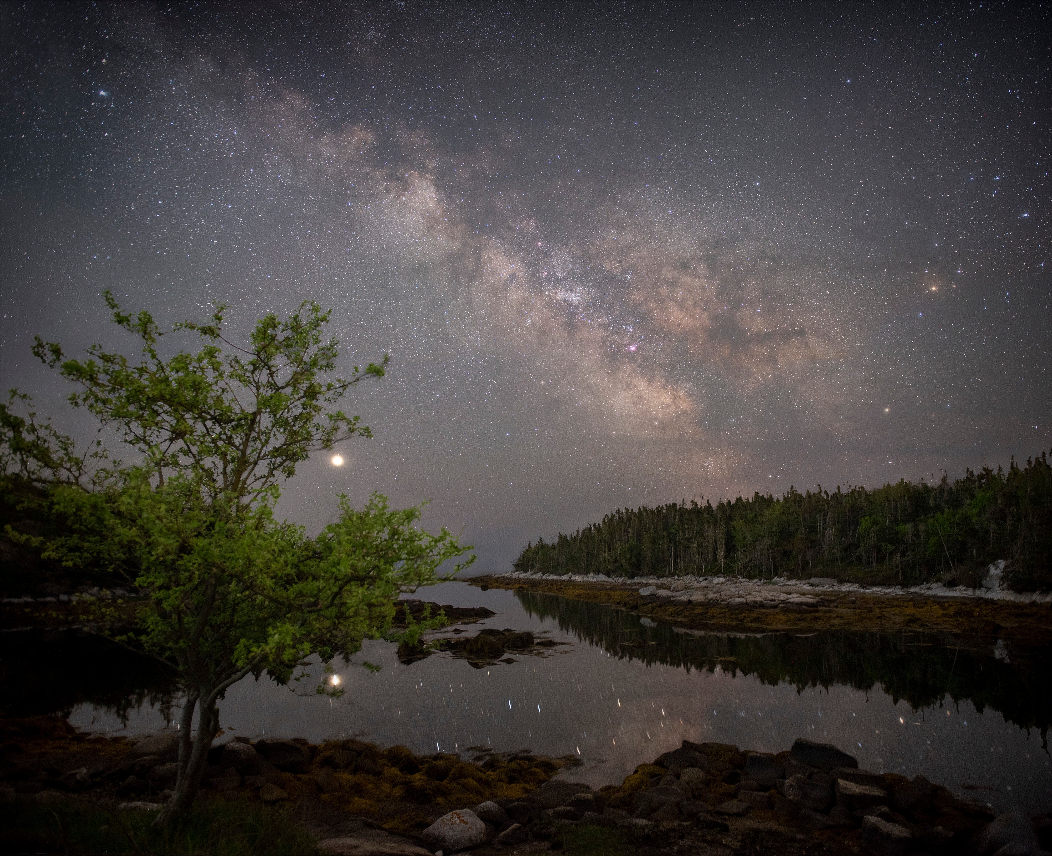 The Old Astronomer's Milky Way arcs through this peaceful northern sky. Against faint, diffuse starlight you can follow dark rifts of interstellar dust clouds stretching from the galaxy's core. They lead toward bright star Antares at the right, almost due south above the horizon. The brightest beacon in the twilight is Jupiter, though. From the camera's perspective it seems to hang from the limb of a tree framing the foreground, an apple tree of course. The serene maritime nightscape was recorded in tracked and untracked exposures on June 16 from Dover, Nova Scotia, planet Earth.