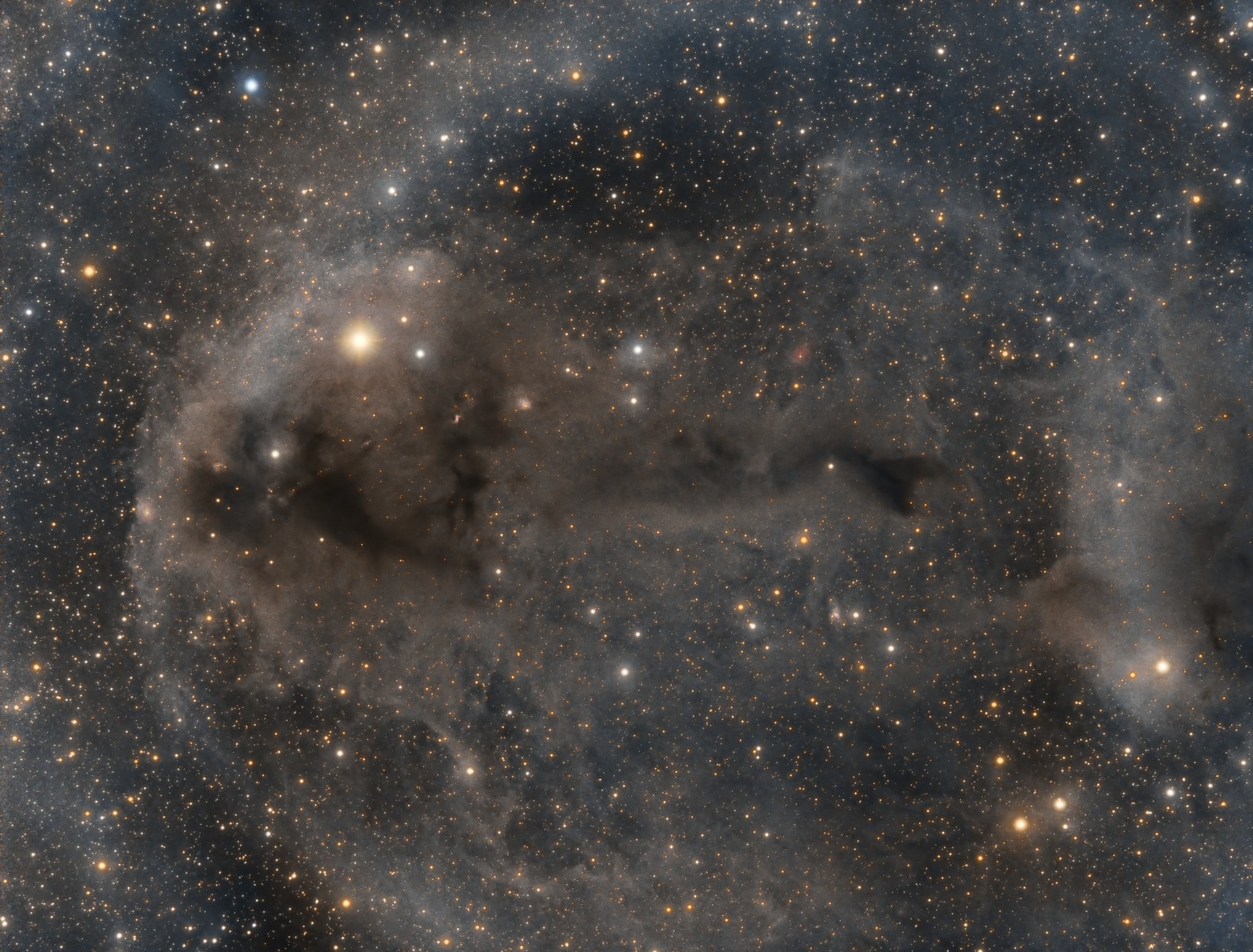 Stars are forming in Lynds Dark Nebula (LDN) 1251. About 1,000 light-years away and drifting above the plane of our Milky Way galaxy, the dusty molecular cloud is part of a complex of dark nebulae mapped toward the Cepheus flare region. Across the spectrum, astronomical explorations of the obscuring interstellar clouds reveal energetic shocks and outflows associated with newborn stars, including the telltale reddish glow from scattered Herbig-Haro objects seen in this sharp image. Distant background galaxies also lurk on the scene, buried behind the dusty expanse. This alluring view imaged with a backyard telescope and broadband filters spans about two full moons on the sky, or 17 light-years at the estimated distance of LDN 1251.