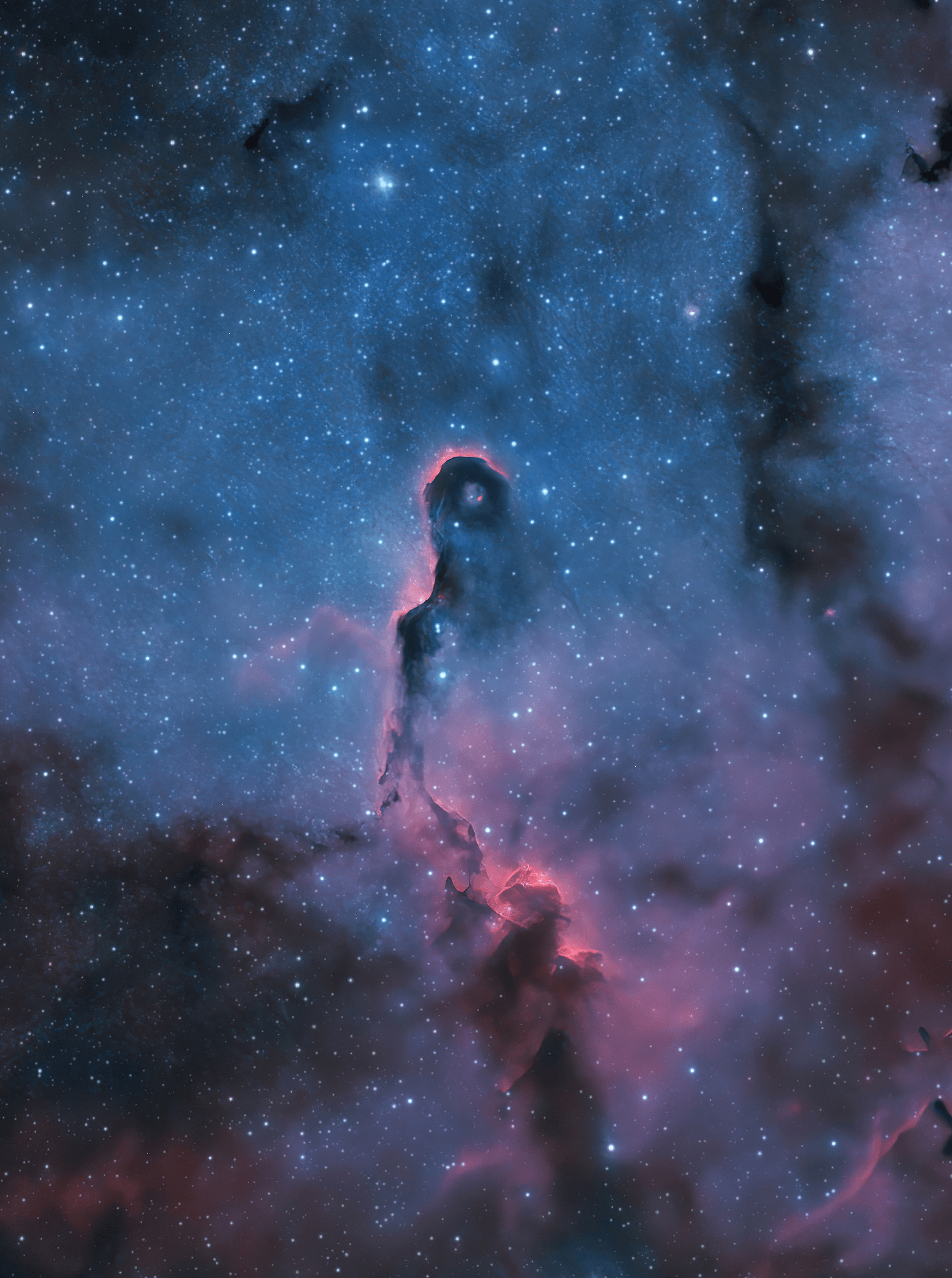 Like an illustration in a galactic Just So Story, the Elephant's Trunk Nebula winds through the emission nebula and young star cluster complex IC 1396, in the high and far off constellation of Cepheus. Also known as vdB 142, the cosmic elephant's trunk is over 20 light-years long. This detailed close-up view was recorded through narrow band filters that transmit the light from ionized hydrogen and oxygen atoms in the region.  The resulting composite highlights the bright swept-back ridges that outline pockets of cool interstellar dust and gas. Such embedded, dark, tendril-shaped clouds contain the raw material for star formation and hide protostars within. Nearly 3,000 light-years distant, the relatively faint IC 1396 complex covers a large region on the sky, spanning over 5 degrees. This dramatic scene spans a 1 degree wide field of view though, about the size of 2 Full Moons.  Mars 2020 Launch: photos from planet Earth