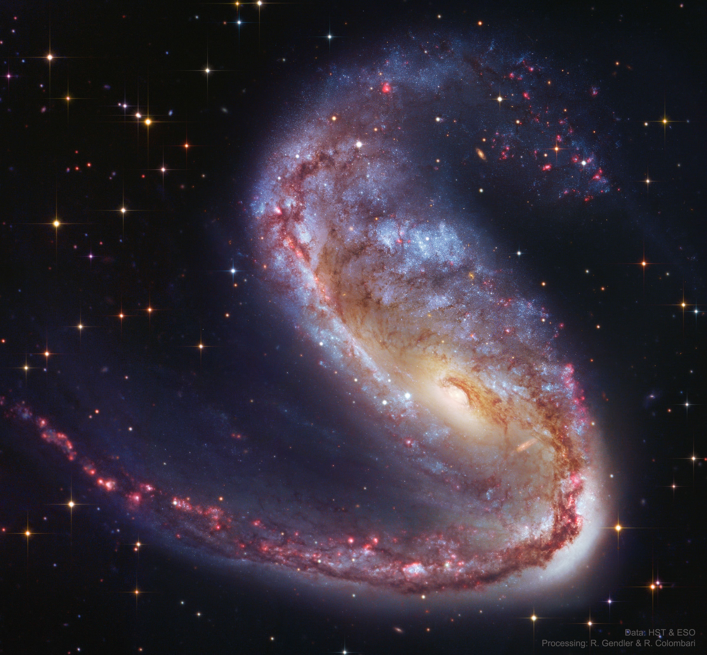 Distorted galaxy NGC 2442 can be found in the southern constellation of the flying fish, (Piscis) Volans. Located about 50 million light-years away, the galaxy's two spiral arms extending from a pronounced central bar have a hook-like appearance in wide-field images. But this mosaicked close-up, constructed from Hubble Space Telescope and European Southern Observatory data, follows the galaxy's structure in amazing detail. Obscuring dust lanes, young blue star clusters and reddish star forming regions surround a core of yellowish light from an older population of stars. The sharp image data also reveal more distant background galaxies seen right through NGC 2442's star clusters and nebulae. The image spans about 75,000 light-years at the estimated distance of NGC 2442.