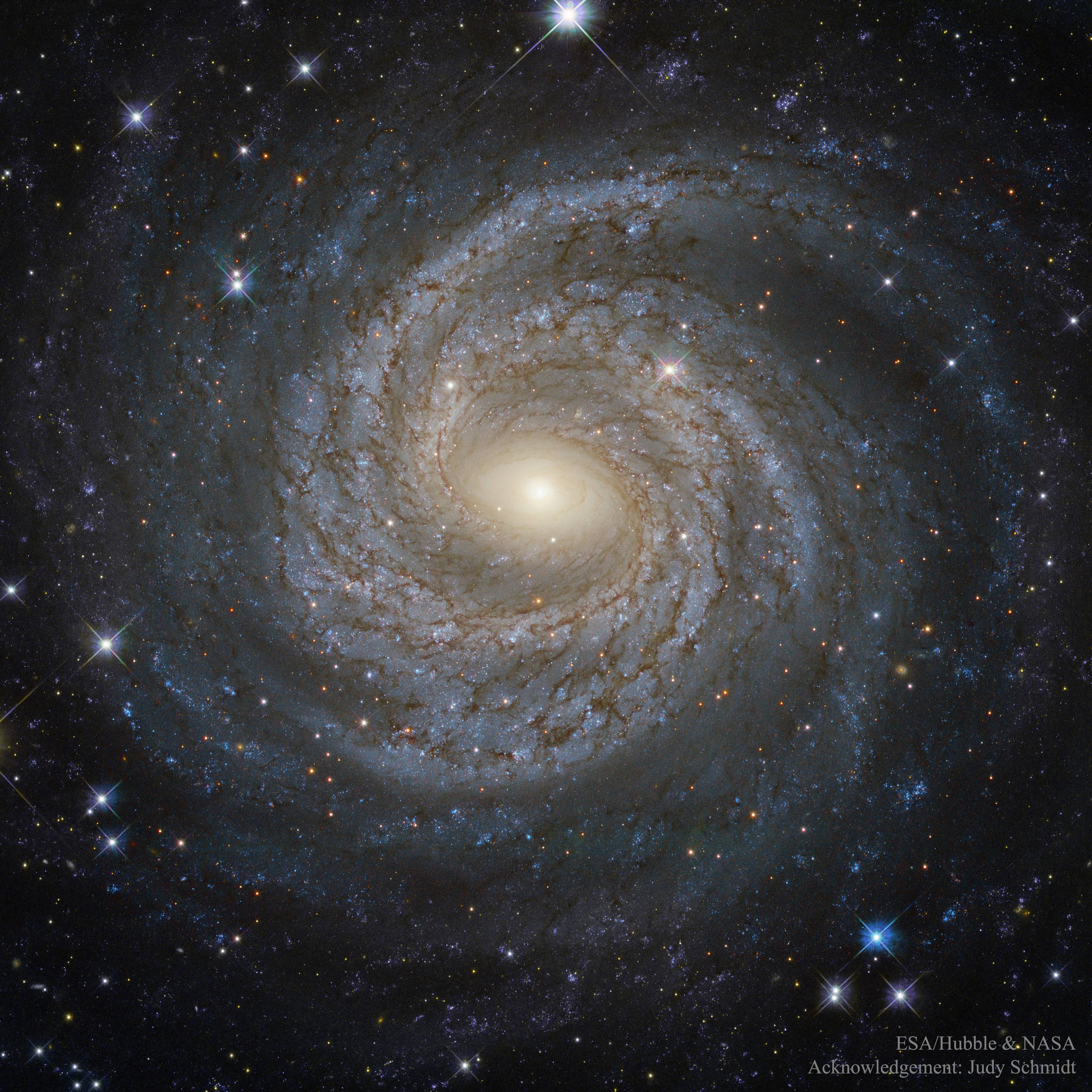 In the center of this serene stellar swirl is likely a harrowing black-hole beast.  The surrounding swirl sweeps around billions of stars which are highlighted by the brightest and bluest. The breadth and beauty of the display give the swirl the designation of a grand design spiral galaxy. The central beast shows evidence that it is a supermassive black hole about 10 million times the mass of  our Sun.  This ferocious creature devours stars and gas and is surrounded by a spinning moat of hot plasma that emits blasts of X-rays. The central violent activity gives it the designation of a Seyfert galaxy. Together, this beauty and beast are cataloged as NGC 6814 and have been appearing together toward the constellation of the Eagle (Aquila) for roughly the past billion years.   Perseid Meteor Shower: Notable images submitted to APOD