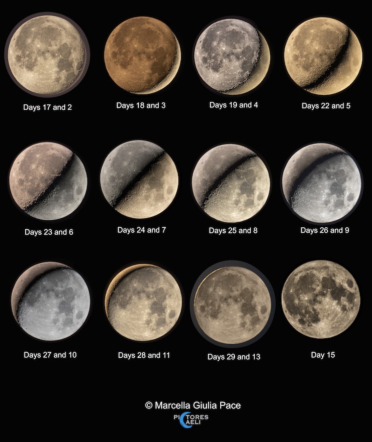 Observe the Moon each night and its visible sunlit portion will gradually change. In phases progressing from New Moon to Full Moon to New Moon again, a lunar cycle or synodic month is completed in about 29.5 days. They look full, but top left to bottom right these panels do show the range of lunar phases for a complete synodic month during August 2019 from Ragusa, Sicily, Italy, planet Earth. For this lunar cycle project the panels organize images of the lunar phases in pairs. Each individual image is paired with another image separated by about 15 days, or approximately half a synodic month. As a result the opposite sunlit portions complete the lunar disk and the shadow line at the boundary of lunar night and day, the terminator, steadily marches across the Moon's familiar nearside. For extra credit, what lunar phase would you pair with the Moon tonight?