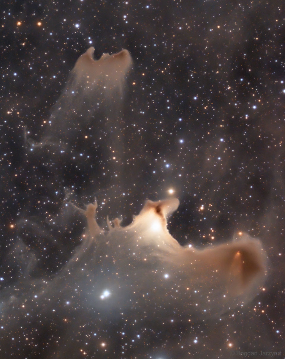 Do any shapes seem to jump out at you from this interstellar field of stars and dust?  The jeweled expanse, filled with faint, starlight-reflecting clouds, drifts through the night in the royal constellation of Cepheus. Far from your own neighborhood on planet Earth, these ghostly apparitions lurk along the plane of the Milky Way at the edge of the Cepheus Flare molecular cloud complex some 1,200 light-years away. Over two light-years across and brighter than the other spooky chimeras, VdB 141 or Sh2-136 is also known as the Ghost Nebula, seen at toward the bottom of the featured image. Within the reflection nebula are the telltale signs of dense cores collapsing in the early stages of star formation.