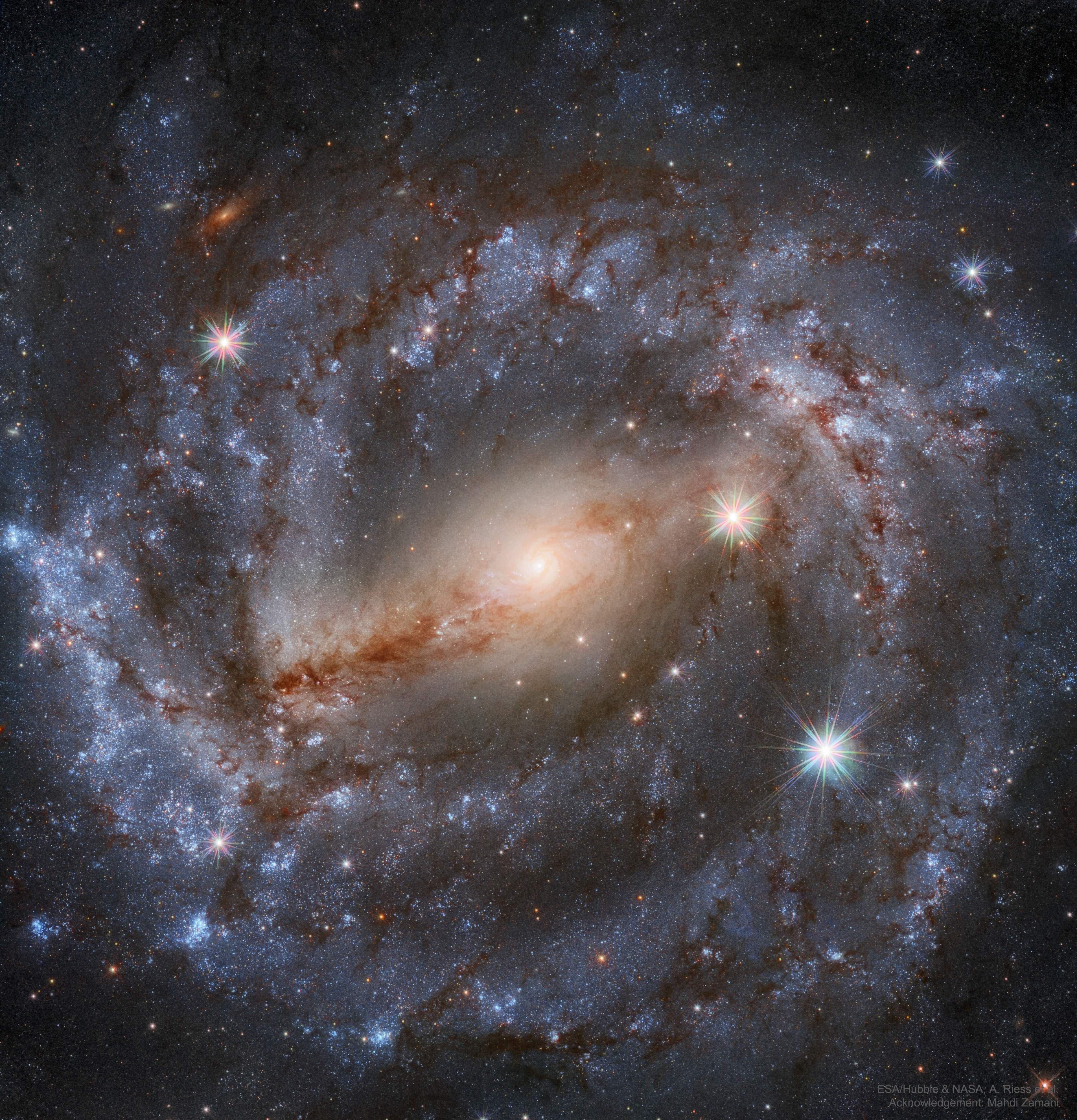 What's happening at the center of spiral galaxy NGC 5643?  A swirling disk of stars and gas, NGC 5643's appearance is dominated by blue spiral arms and brown  dust, as shown in the featured image taken by the Hubble Space Telescope.   The core of this active galaxy glows brightly in radio waves and X-rays where twin jets have been found.  An unusual central glow makes NGC 5643 one of the closest examples of the Seyfert class of galaxies, where vast amounts of glowing gas are thought to be falling into a central massive black hole.  NGC 5643, is a relatively close 55 million light years away, spans about 100 thousand light years across, and can be seen with a small telescope towards the constellation of the Wolf (Lupus).