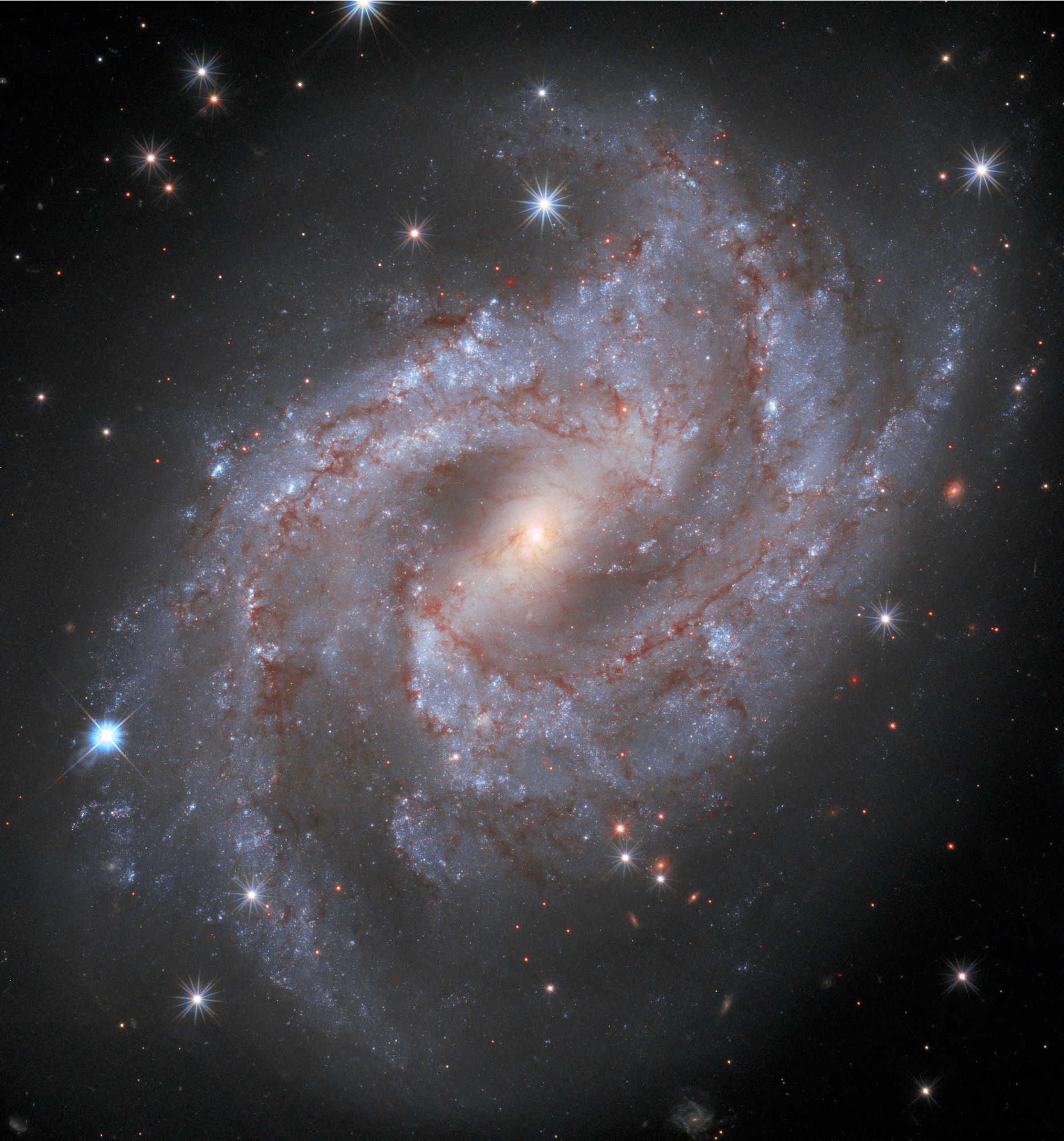Big, beautiful, barred spiral galaxy NGC 2525 lies 70 million light-years from the Milky Way. It shines in Earth's night sky within the boundaries of the southern constellation Puppis. About 60,000 light-years across, its spiral arms lined with dark dust clouds, massive blue stars, and pinkish starforming regions wind through this gorgeous Hubble Space Telescope snapshot. Spotted on the outskirts of NGC 2525 in January 2018, supernova SN 2018gv is the brightest star in the frame at the lower left. In time-lapse, a year long series of Hubble observations followed the stellar explosion, the nuclear detonation of a white dwarf star triggered by accreting material from a companion star, as it slowly faded from view. Identified as a Type Ia supernova, its brightness is considered a cosmic standard candle. Type Ia supernovae are used to measure distances to galaxies and determine the expansion rate of the Universe.