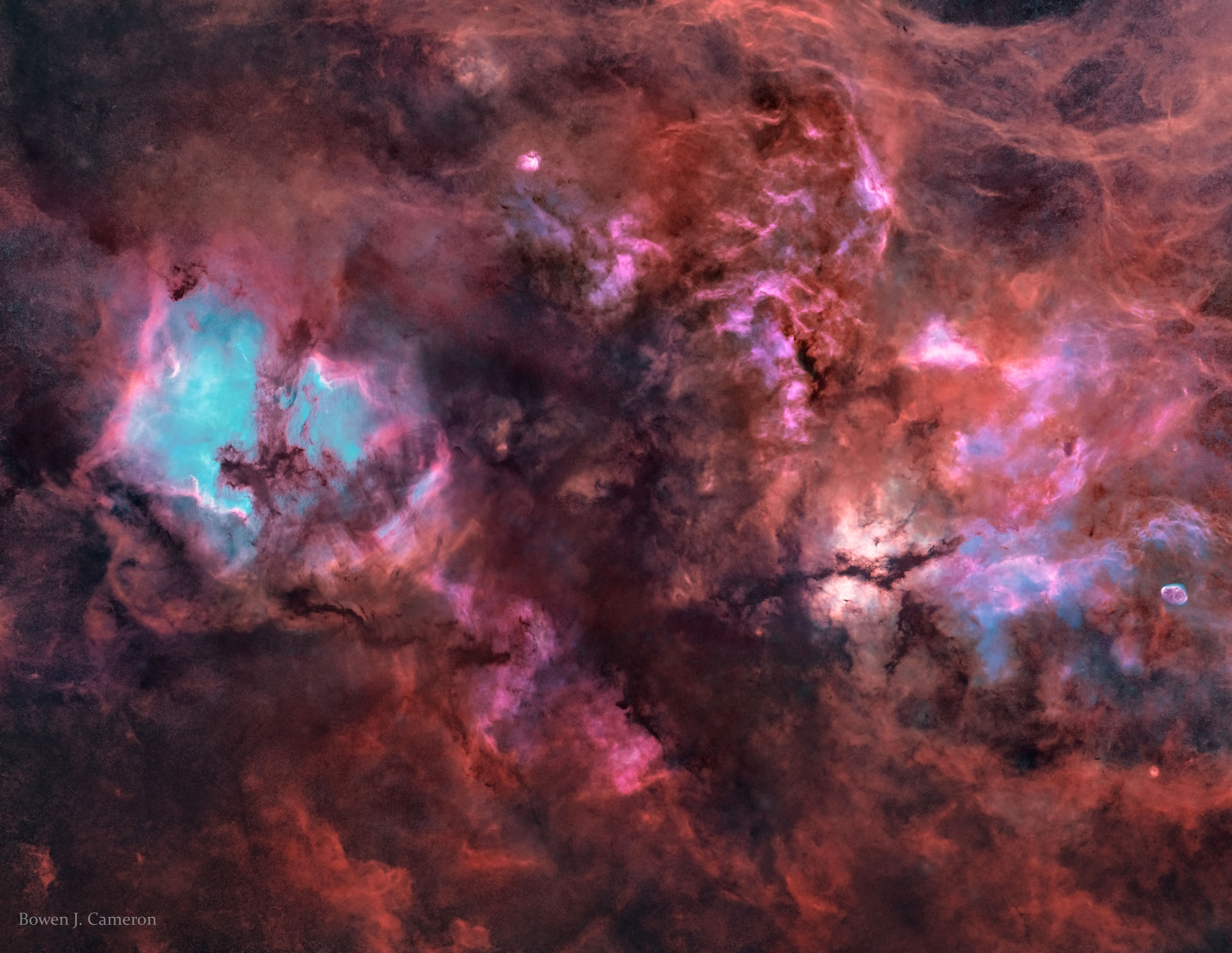 The sky is filled with faintly glowing gas, though it can take a sensitive camera and telescope to see it. For example, this twelve-degree-wide view of the northern part of the constellation Cygnus reveals a complex array of cosmic clouds of gas along the plane of our Milky Way galaxy. The featured mosaic of telescopic images was recorded through two filters: an H-alpha filter that transmits only visible red light from glowing hydrogen atoms, and a blue filter that transmits primarily light emitted by the slight amount of energized oxygen. Therefore, in this 18-hour exposure image, blue areas are hotter than red.  Further digital processing has removed the myriad of point-like Milky Way stars from the scene. Recognizable bright nebulas include NGC 7000 (North America Nebula), and IC 5070 (Pelican Nebula) on the left with IC 1318 (Butterfly Nebula) and NGC 6888 (Crescent Nebula) on the right -- but others can be found throughout the wide field.