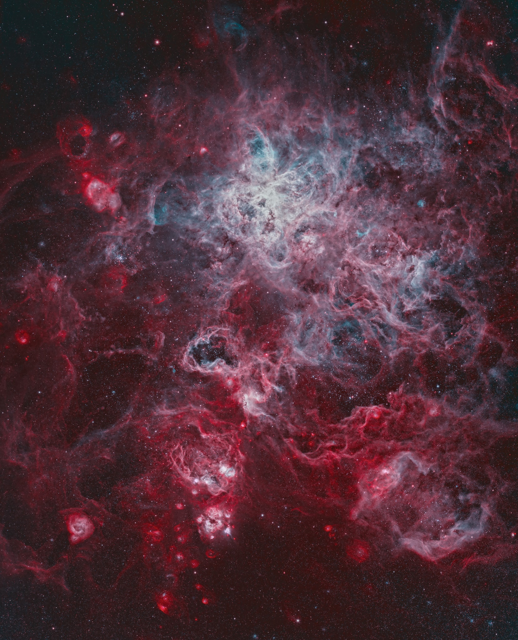 The Tarantula Nebula, also known as 30 Doradus, is more than a thousand light-years in diameter, a giant star forming region within nearby satellite galaxy the Large Magellanic Cloud. About 180 thousand light-years away, it's the largest, most violent star forming region known in the whole Local Group of galaxies. The cosmic arachnid sprawls across the top of this spectacular view, composed with narrowband filter data centered on emission from ionized hydrogen and oxygen atoms. Within the Tarantula (NGC 2070), intense radiation, stellar winds and supernova shocks from the central young cluster of massive stars, cataloged as R136, energize the nebular glow and shape the spidery filaments. Around the Tarantula are other star forming regions with young star clusters, filaments, and blown-out bubble-shaped clouds. In fact, the frame includes the site of the closest supernova in modern times, SN 1987A, right of center. The rich field of view spans about 2 degrees or 4 full moons, in the southern constellation Dorado. But were the Tarantula Nebula closer, say 1,500 light-years distant like the local star forming Orion Nebula, it would take up half the sky.