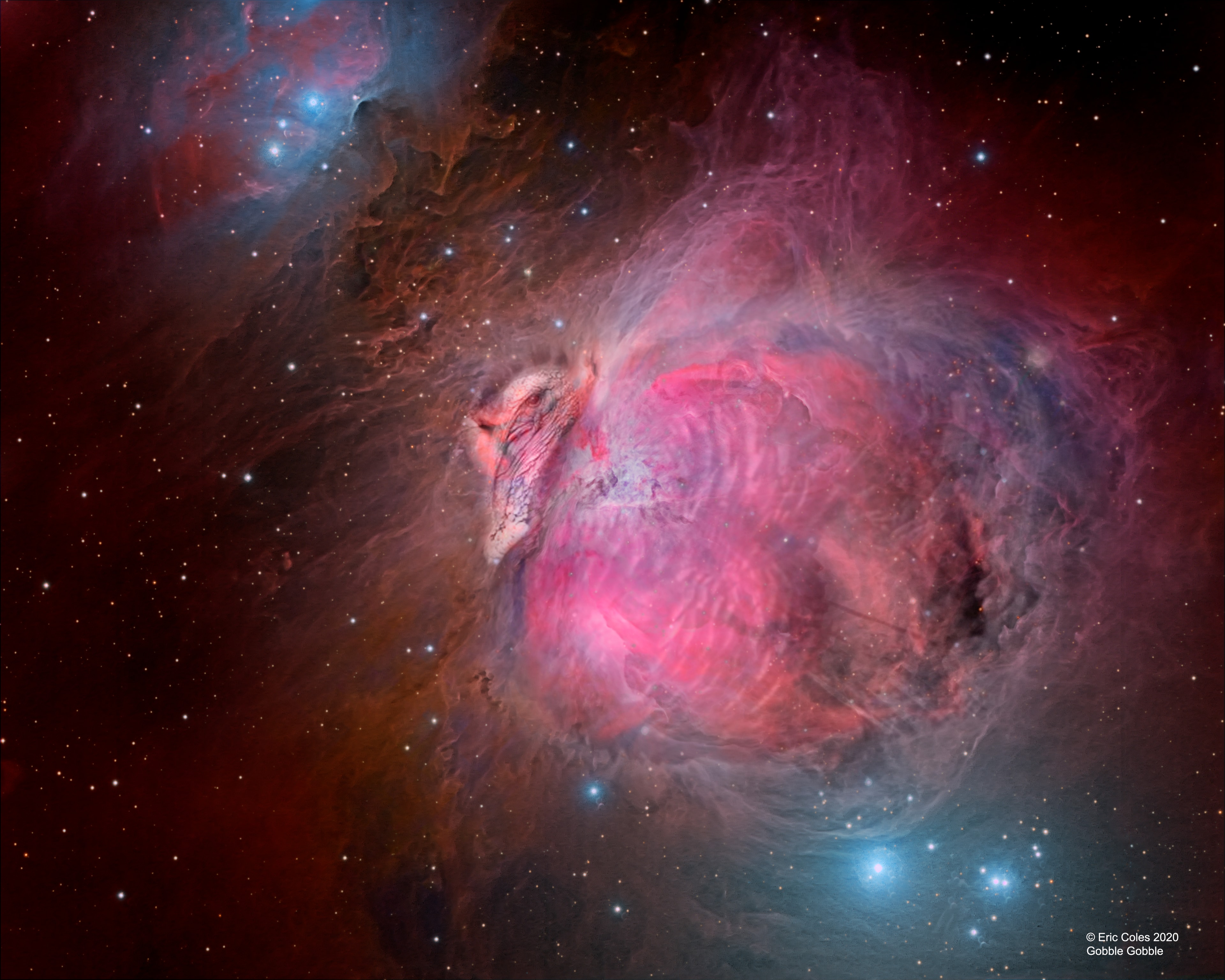 Surprisingly reminiscent of The Great Nebula in Orion, The Great Turkey Nebula spans this creative field of view.  Of course if it were the Orion Nebula it would be our closest large stellar nursery, found at the edge of a large molecular cloud a mere 1,500 light-years away. Also known as M42, the Orion Nebula is visible to the eye as the middle "star" in the sword of Orion the Hunter, a constellation now rising in planet Earth's evening skies. Stellar winds from clusters of newborn stars scattered throughout the Orion Nebula sculpt its ridges and cavities seen in familiar in telescopic images. Much larger than any bird you might be cooking, this Great Turkey Nebula was imagined to be similar in size to the Orion Nebula, about 13 light-years across. Stay safe and well.