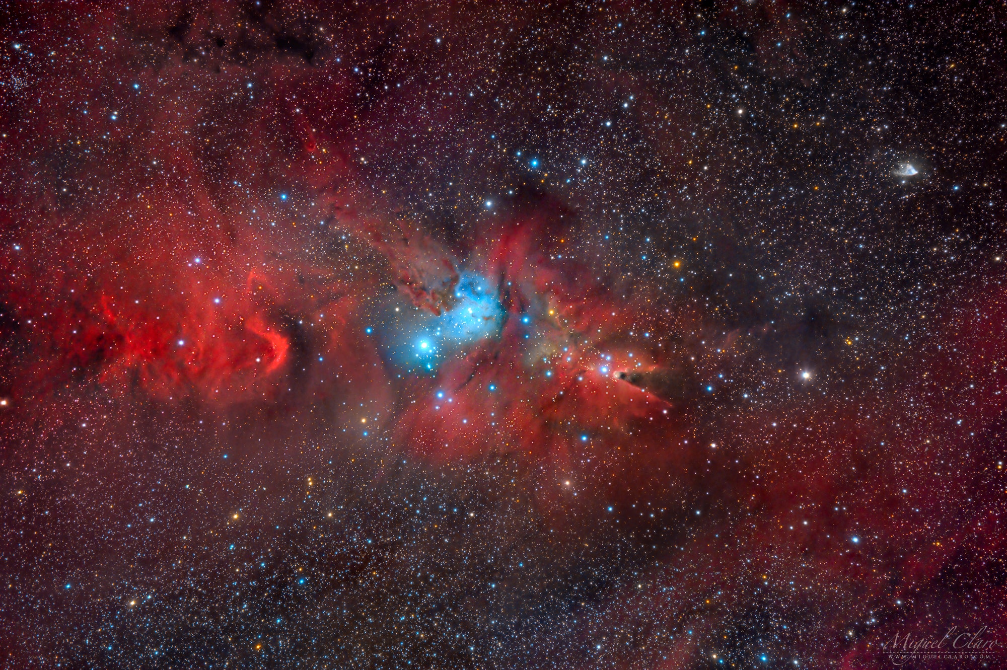 Clouds of glowing hydrogen gas fill this colorful skyscape in the faint but fanciful constellation Monoceros, the Unicorn. A star forming region cataloged as NGC 2264, the complex jumble of cosmic gas and dust is about 2,700 light-years distant and mixes reddish emission nebulae excited by energetic light from newborn stars with dark interstellar dust clouds. Where the otherwise obscuring dust clouds lie close to the hot, young stars they also reflect starlight, forming blue reflection nebulae. The telescopic image spans about 1.5 degrees or 3 full moons, covering nearly 80 light-years at the distance of NGC 2264. Its cast of cosmic characters includes the the Fox Fur Nebula, whose dusty, convoluted pelt lies left of center, bright variable star S Monocerotis immersed in the blue-tinted haze near center, and the Cone Nebula pointing in from the right side of the frame. Of course, the stars of NGC 2264 are also known as the Christmas Tree star cluster. The triangular tree shape is seen on its side here. Traced by brighter stars it has its apex at the Cone Nebula. The tree's broader base is centered near S Monocerotis.
