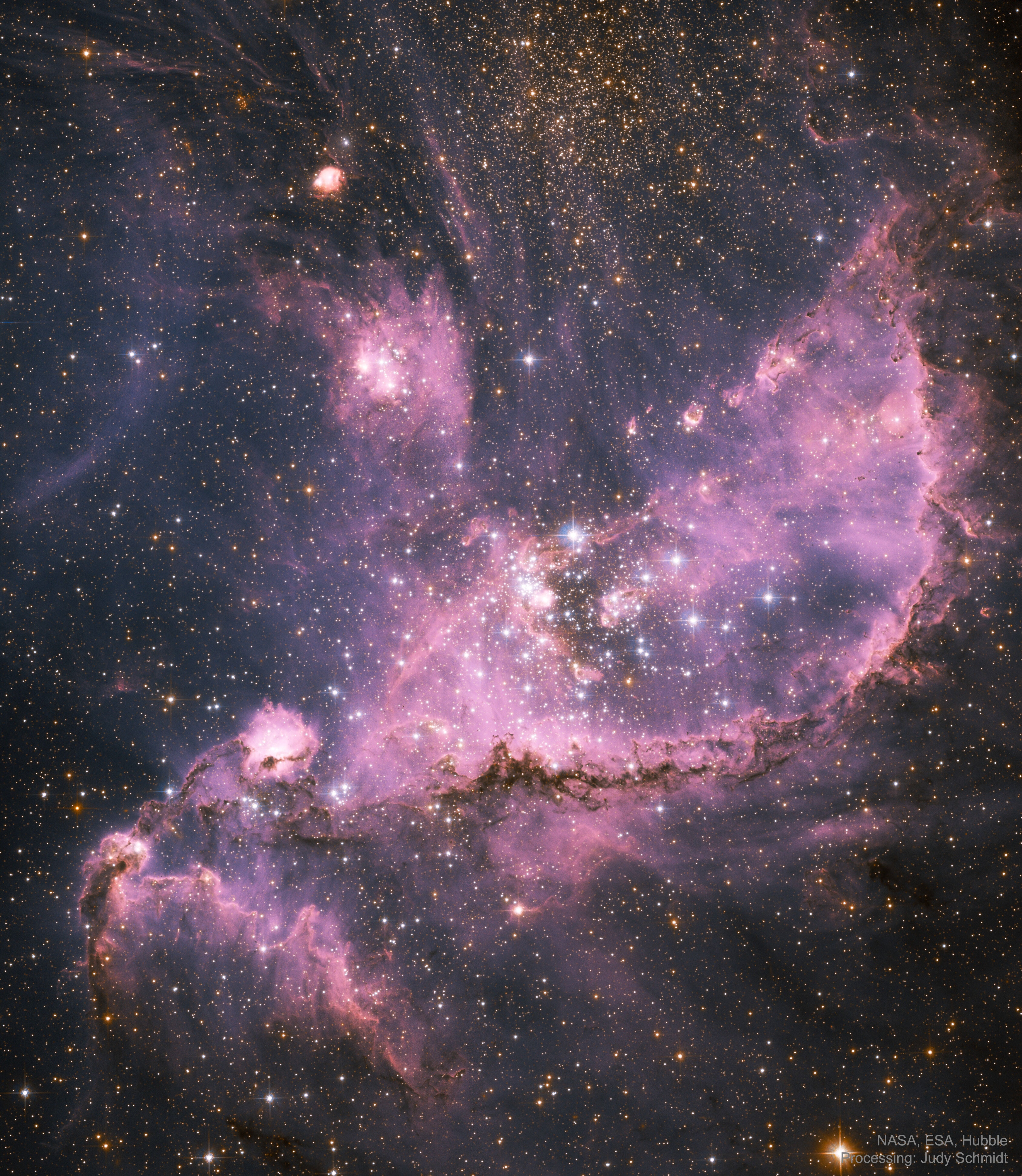 Are stars still forming in the Milky Way's satellite galaxies?  Found among the Small Magellanic Cloud's (SMC's) clusters and nebulas, NGC 346 is a star forming region about 200 light-years across, pictured here in the center of a Hubble Space Telescope image. A satellite galaxy of the Milky Way, the Small Magellanic Cloud (SMC) is a wonder of the southern sky, a mere 210,000 light-years distant in the constellation of the Toucan (Tucana). Exploring NGC 346, astronomers have identified a population of embryonic stars strung along the dark, intersecting dust lanes visible here on the right. Still collapsing within their natal clouds, the stellar infants' light is reddened by the intervening dust. Toward the top of the frame is another star cluster with intrinsically older and redder stars. A small, irregular galaxy, the SMC itself represents a type of galaxy more common in the early Universe. These small galaxies, though, are thought to be building blocks for the larger galaxies present today.   All 30: 2020 November APODs voiced by AI