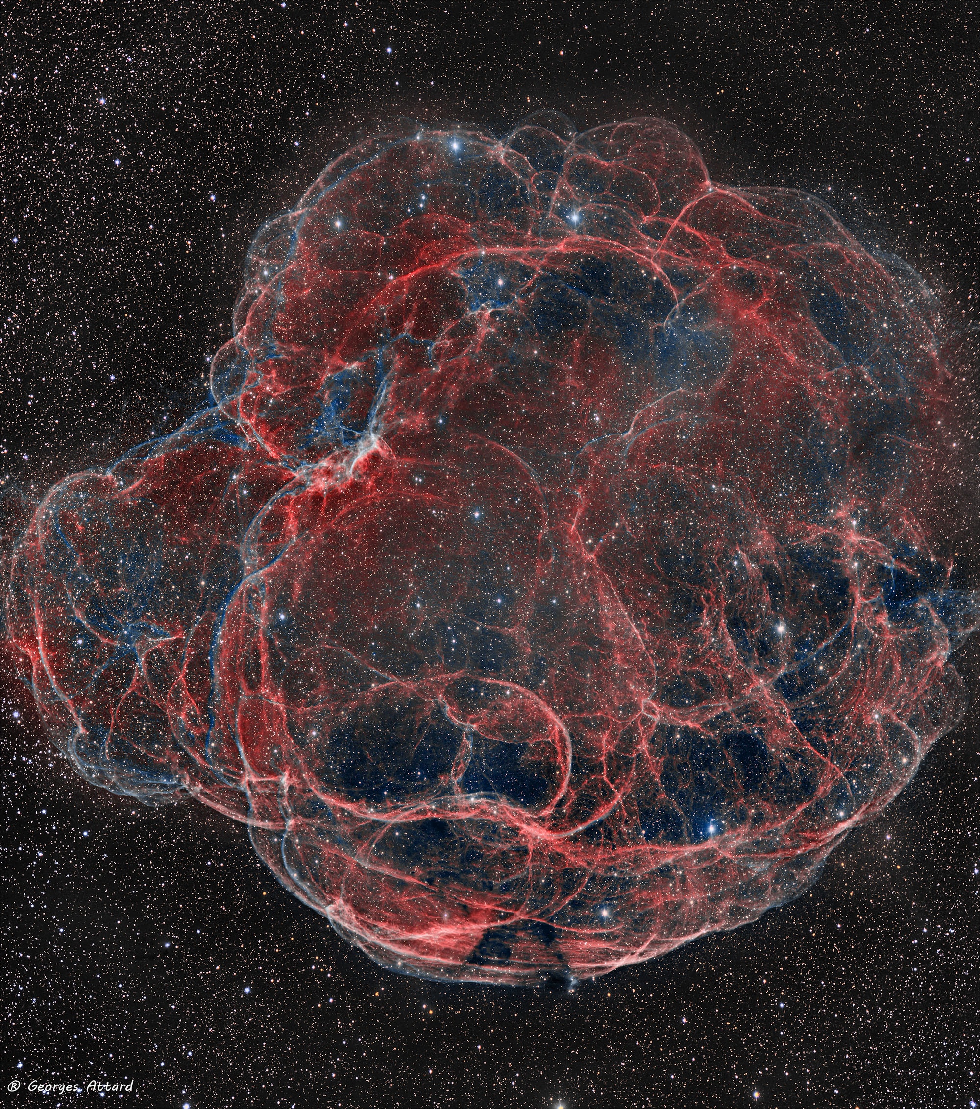 It's easy to get lost following the intricate looping filaments in this detailed image of supernova remnant Simeis 147. Also cataloged as Sharpless 2-240 it goes by the popular nickname, the Spaghetti Nebula. Seen toward the boundary of the constellations Taurus and Auriga, it covers nearly 3 degrees or 6 full moons on the sky. That's about 150 light-years at the stellar debris cloud's estimated distance of 3,000 light-years. This composite includes image data taken through narrow-band filters where reddish emission from ionized hydrogen atoms and doubly ionized oxygen atoms in faint blue-green hues trace the shocked, glowing gas. The supernova remnant has an estimated age of about 40,000 years, meaning light from the massive stellar explosion first reached Earth 40,000 years ago. But the expanding remnant is not the only aftermath. The cosmic catastrophe also left behind a spinning neutron star or pulsar, all that remains of the original star's core.