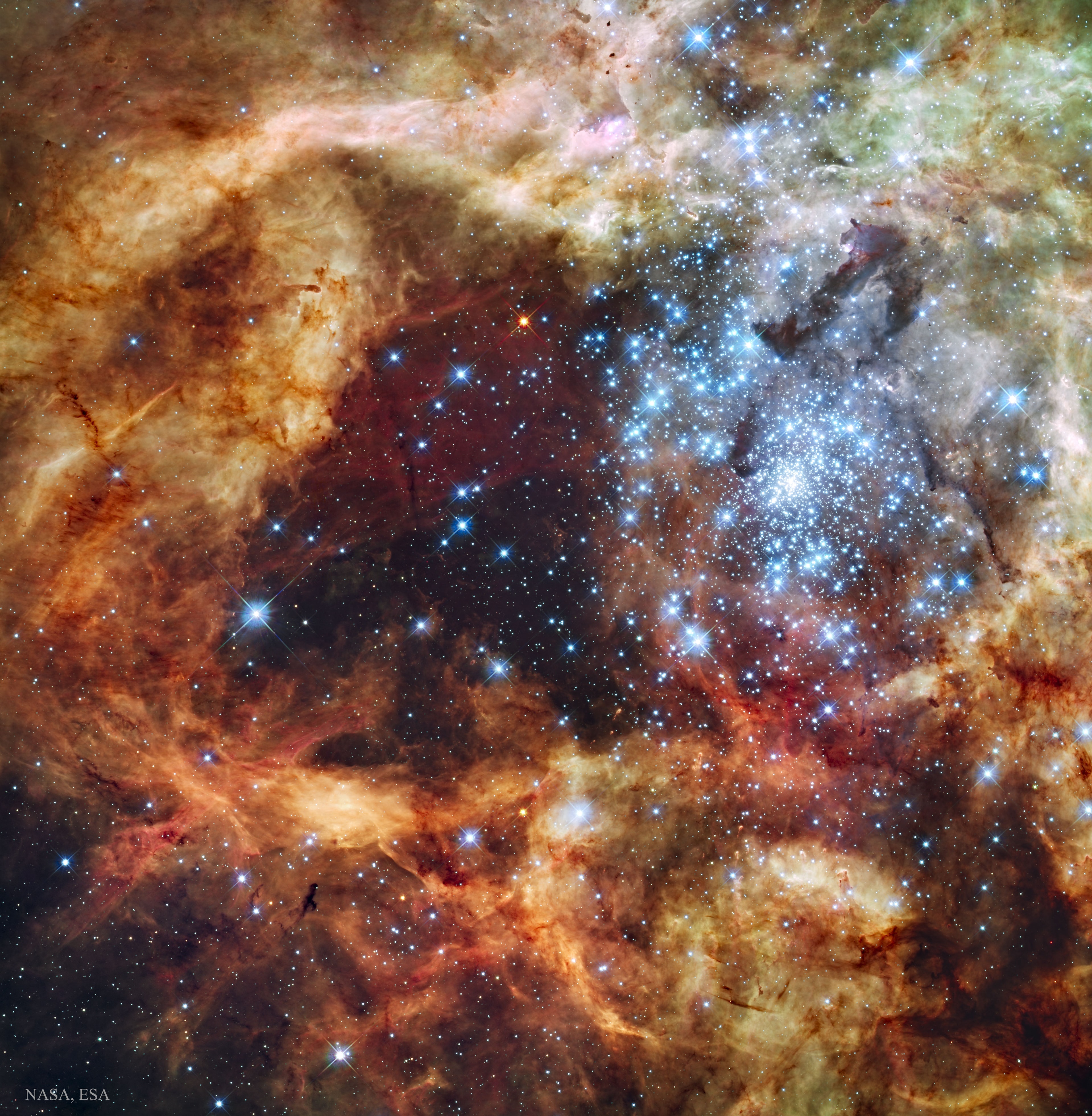 In the center of nearby star-forming region lies a huge cluster containing some of the largest, hottest, and most massive stars known. These stars, known collectively as star cluster R136, part of the Tarantula Nebula, were captured in the featured image in visible light in 2009 through the Hubble Space Telescope. Gas and dust clouds in the Tarantula Nebula, have been sculpted into elongated shapes by powerful winds and ultraviolet radiation from these hot cluster stars.  The Tarantula Nebula lies within a neighboring galaxy known as the Large Magellanic Cloud and is located a mere 170,000 light-years away.