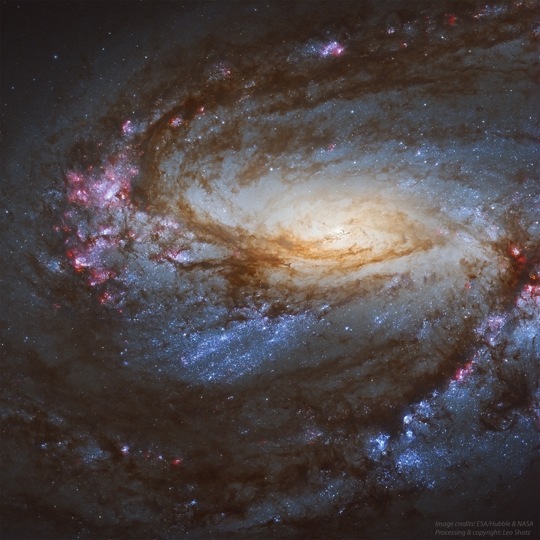 Big, beautiful spiral galaxy Messier 66 lies a mere 35 million light-years away. The gorgeous island universe is about 100 thousand light-years across, similar in size to the Milky Way. This reprocessed Hubble Space Telescope close-up view spans a region about 30,000 light-years wide around the galactic core. It shows the galaxy's disk dramatically inclined to our line-of-sight. Surrounding its bright core, the likely home of a supermassive black hole, obscuring dust lanes and young, blue star clusters sweep along spiral arms dotted with the tell-tale glow of pinksh star forming regions. Messier 66, also known as NGC 3627, is the brightest of the three galaxies in the gravitationaly interacting Leo Triplet.
