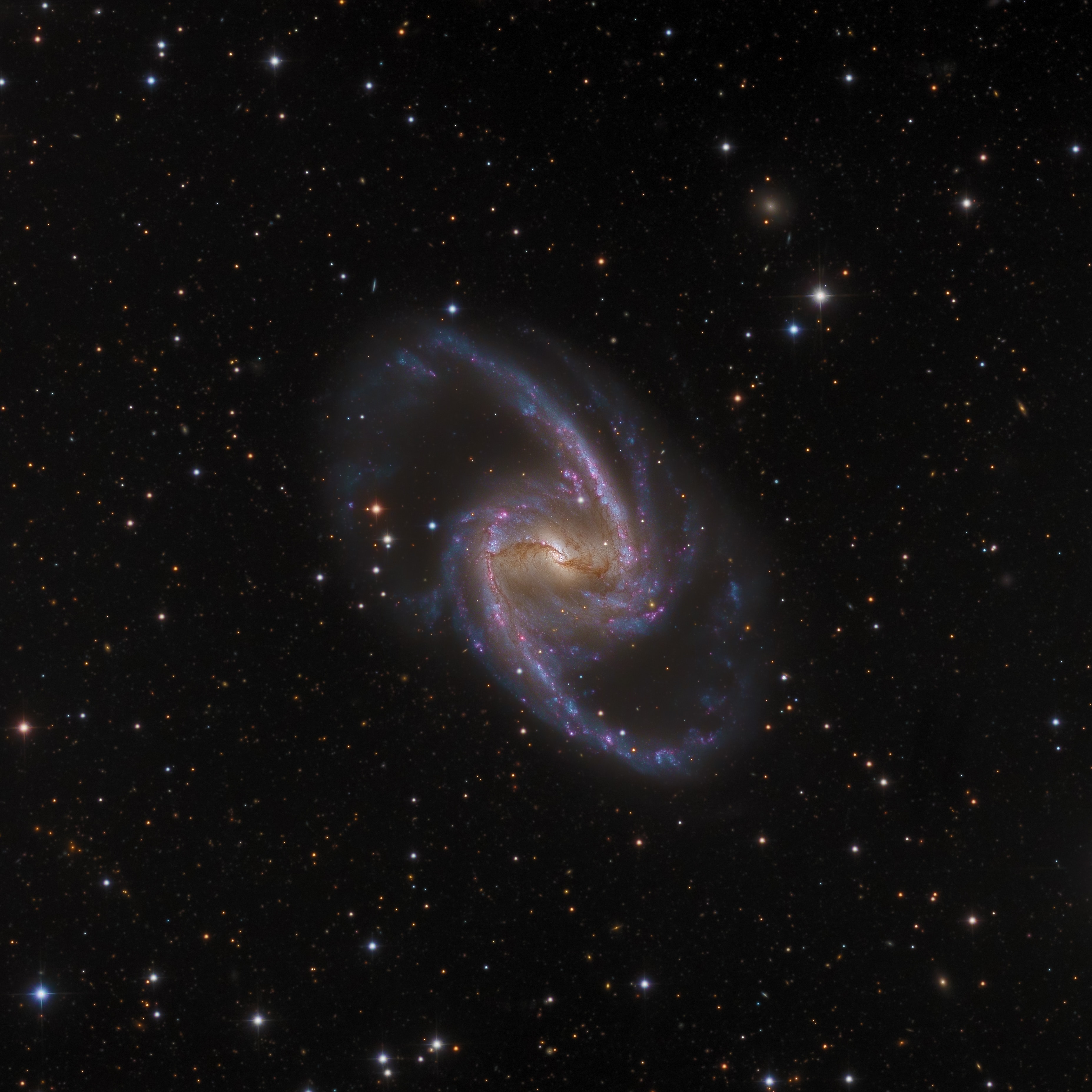 Barred spiral galaxy NGC 1365 is truly a majestic island universe some 200,000 light-years across. Located a mere 60 million light-years away toward the chemical constellation Fornax, NGC 1365 is a dominant member of the well-studied Fornax Cluster of galaxies. This impressively sharp color image shows the intense, reddish star forming regions near the ends of central bar and along the spiral arms, with details of the obscuring dust lanes cutting across the galaxy's bright core. At the core lies a supermassive black hole. Astronomers think NGC 1365's prominent bar plays a crucial role in the galaxy's evolution, drawing gas and dust into a star-forming maelstrom and ultimately feeding material into the central black hole.