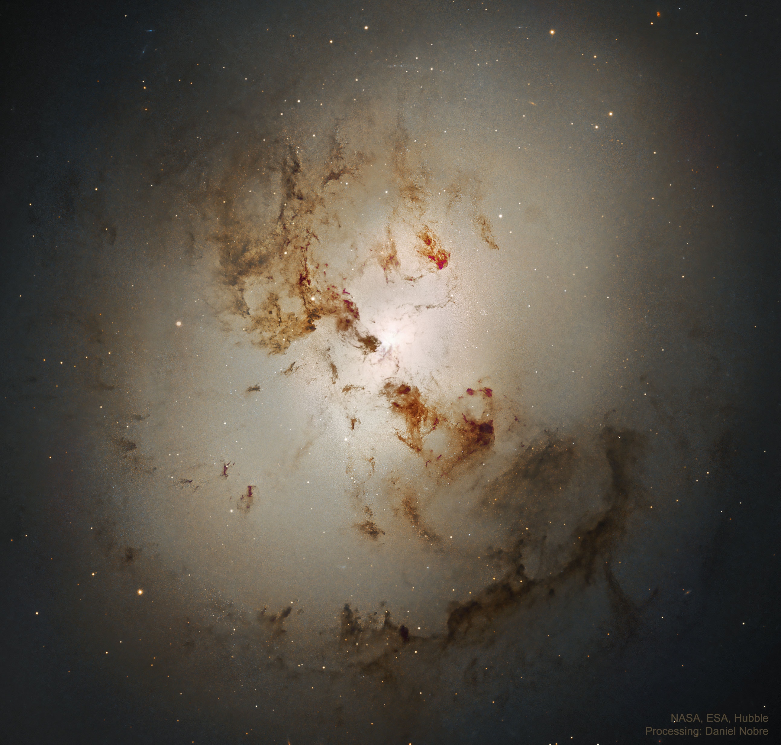 How did this strange-looking galaxy form?  Astronomers turn detectives when trying to figure out the cause of unusual jumbles of stars, gas, and dust like NGC 1316. Inspection indicates that NGC 1316 is an enormous elliptical galaxy that somehow includes dark dust lanes usually found in a spiral galaxy.  Detailed images taken by the Hubble Space Telescope shows details, however, that help in reconstructing the history of this gigantic tangle.  Deep and wide images show huge collisional shells, while deep central images reveal fewer globular clusters of stars toward NGC 1316's interior.  Such effects are expected in galaxies that have undergone collisions or merging with other galaxies in the past few billion years.  The dark knots and lanes of dust, prominent in the featured image, indicate that one or more of the devoured galaxies were spiral galaxies.  NGC 1316 spans about 50,000 light years and lies about 60 million light years away toward the constellation of the Furnace (Fornax).