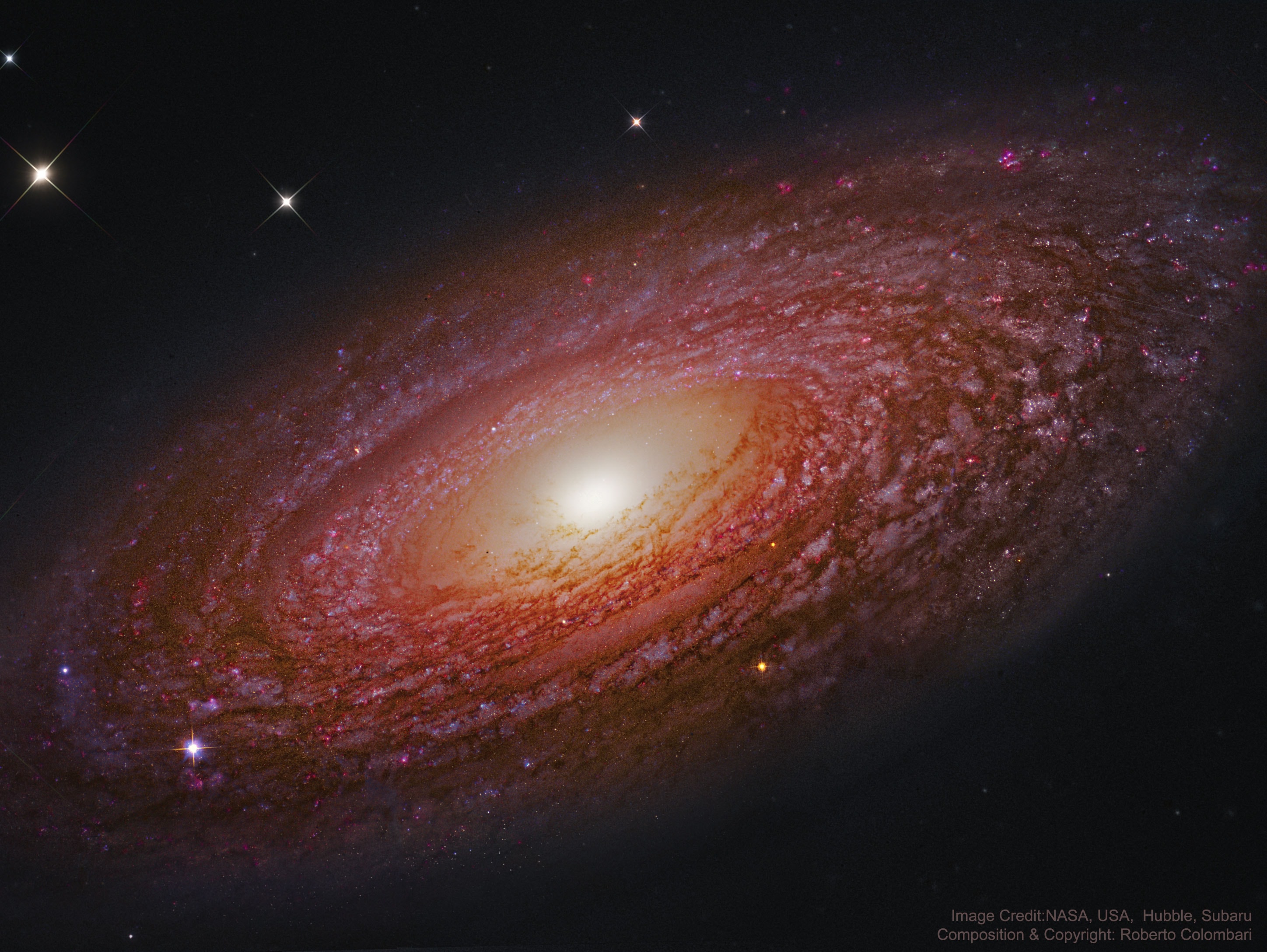 It is one of the more massive galaxies known. A mere 46 million light-years distant, spiral galaxy NGC 2841 can be found in the northern constellation of Ursa Major. This sharp view of the gorgeous island universe shows off a striking yellow nucleus and galactic disk. Dust lanes, small, pink star-forming regions, and young blue star clusters are embedded in the patchy, tightly wound spiral arms. In contrast, many other spirals exhibit grand, sweeping arms with large star-forming regions.  NGC 2841 has a diameter of over 150,000 light-years, even larger than our own Milky Way. The featured composite image merges exposures from the orbiting 2.4-meter Hubble Space Telescope and the ground-based 8.2-meter Subaru Telescope.  X-ray images suggest that resulting winds and stellar explosions create plumes of hot gas extending into a halo around NGC 2841.