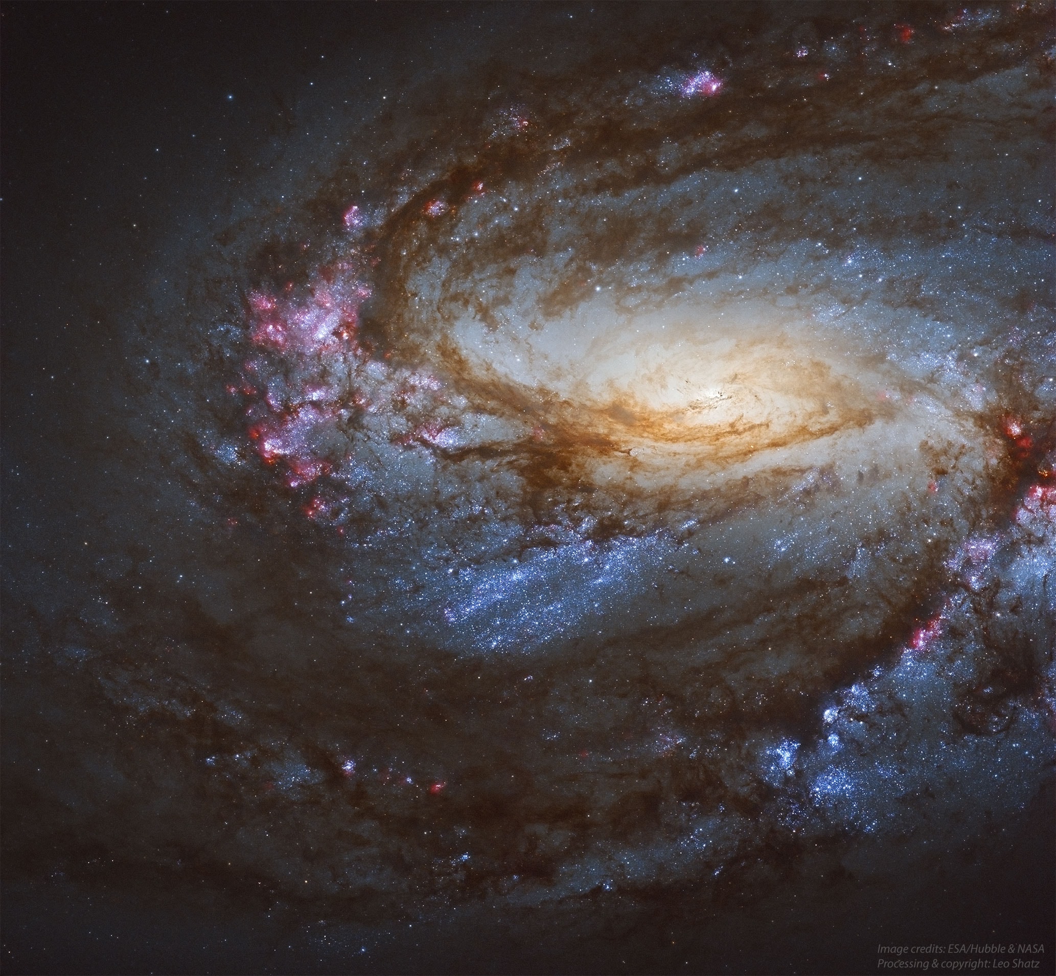 It’s always nice to get a new view of an old friend.  This stunning Hubble Space Telescope image of nearby spiral galaxy M66 is just that.  A spiral galaxy with a small central bar, M66 is a member of the Leo Galaxy Triplet, a group of three galaxies about 30 million light years from us.  The Leo Triplet is a popular target for relatively small telescopes, in part because M66 and its galactic companions M65 and NGC 3628 all appear separated by about the angular width of a full moon.  The featured image of M66 was taken by Hubble to help investigate the connection between star formation and molecular gas clouds.  Clearly visible are bright blue stars, pink ionized hydrogen clouds -- sprinkled all along the outer spiral arms, and dark dust lanes in which more star formation could be hiding.