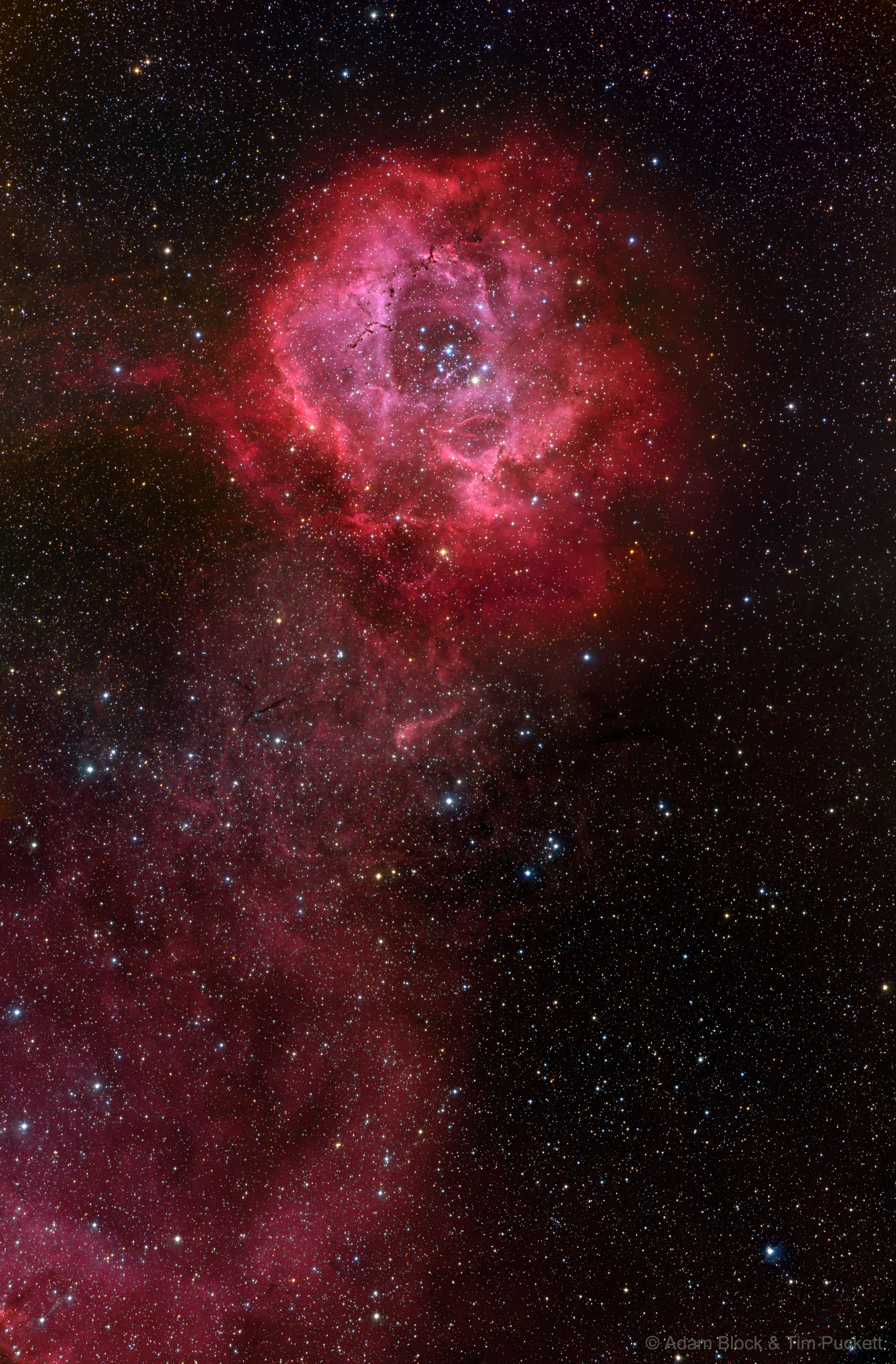 Would the Rosette Nebula by any other name look as sweet? The bland New General Catalog designation of NGC 2237 doesn't appear to diminish the appearance of this flowery emission nebula, at the top of the image, atop a long stem of glowing hydrogen gas. Inside the nebula lies an open cluster of bright young stars designated NGC 2244. These stars formed about four million years ago from the nebular material and their stellar winds are clearing a hole in the nebula's center, insulated by a layer of dust and hot gas. Ultraviolet light from the hot cluster stars causes the surrounding nebula to glow. The Rosette Nebula spans about 100 light-years across, lies about 5000 light-years away, and can be seen with a small telescope towards the constellation of the Unicorn (Monoceros).   Jump around the Universe: Random APOD Generator