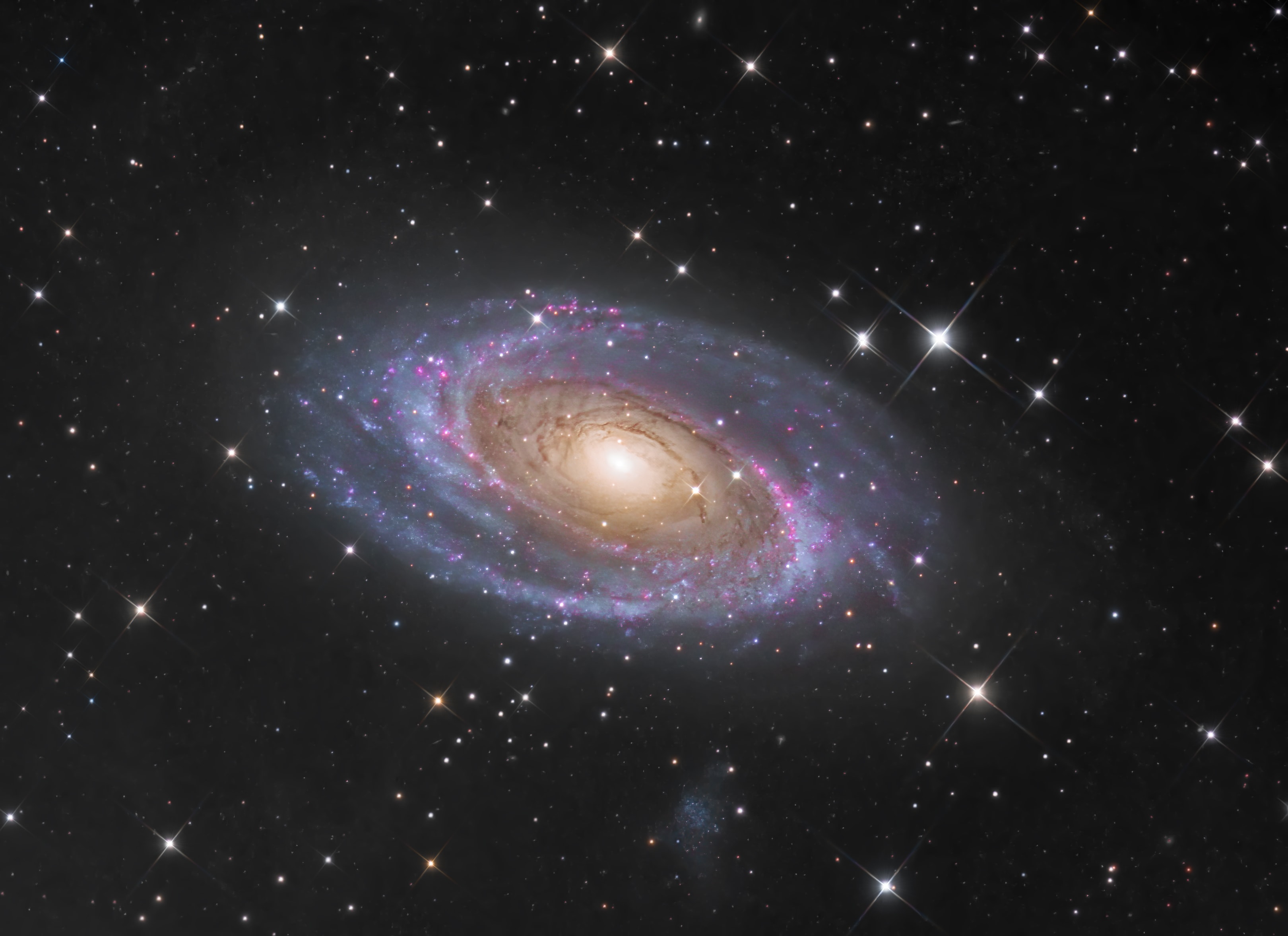 One of the brightest galaxies in planet Earth's sky is similar in size to our Milky Way Galaxy: big, beautiful Messier 81. Also known as NGC 3031 or Bode's galaxy for its 18th century discoverer, this grand spiral can be found toward the northern constellation of Ursa Major, the Great Bear. The sharp, detailed telescopic view reveals M81's bright yellow nucleus, blue spiral arms, pinkish starforming regions, and sweeping cosmic dust lanes. Some dust lanes actually run through the galactic disk (left of center), contrary to other prominent spiral features though. The errant dust lanes may be the lingering result of a close encounter between M81 and the nearby galaxy M82 lurking outside of this frame. M81's faint, dwarf irregular satellite galaxy, Holmberg IX, can be seen just below the large spiral. Scrutiny of variable stars in M81 has yielded a well-determined distance for an external galaxy -- 11.8 million light-years.