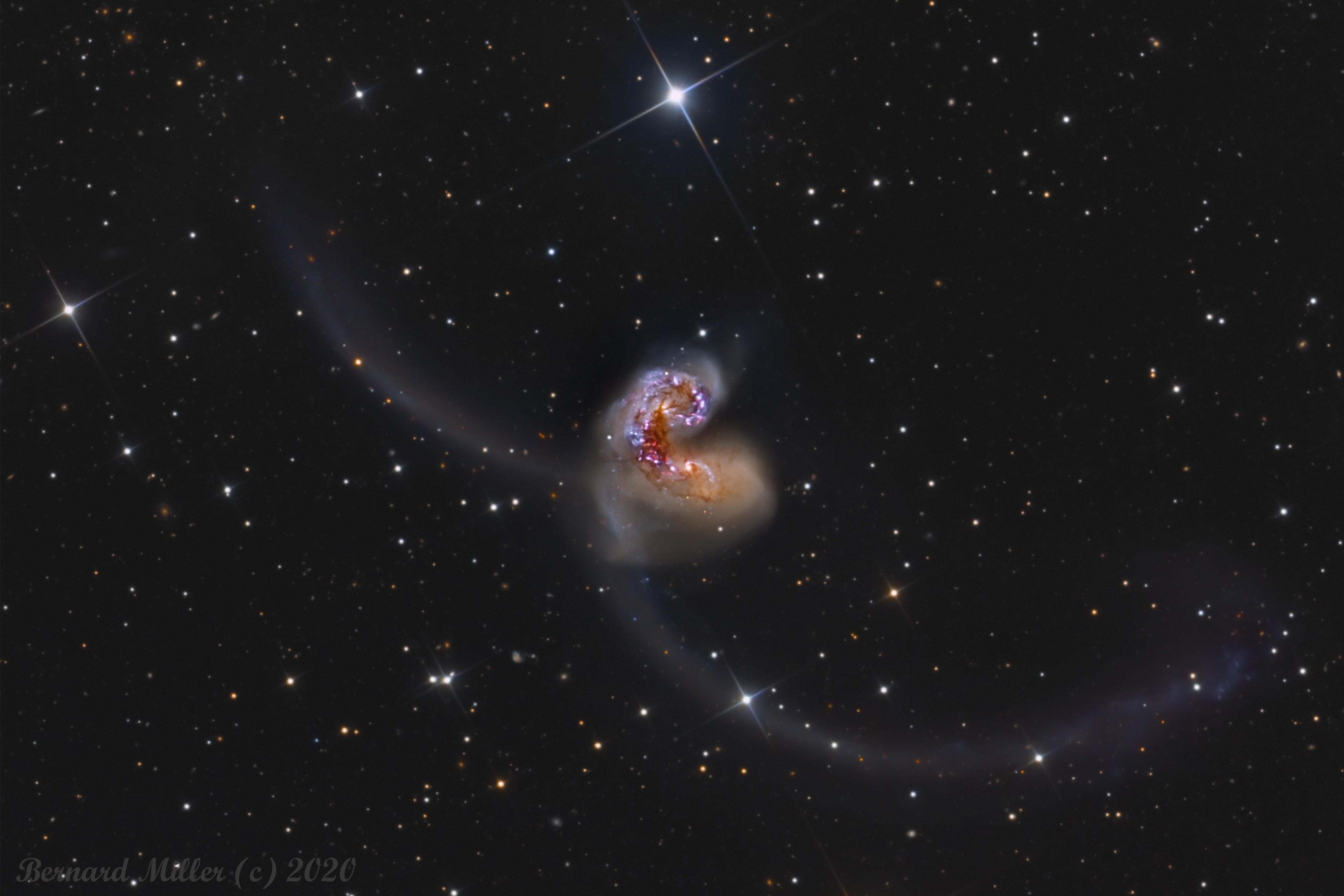 Some 60 million light-years away in the southerly constellation Corvus, two large galaxies are colliding. Stars in the two galaxies, cataloged as NGC 4038 and NGC 4039, very rarely collide in the course of the ponderous cataclysm that lasts for hundreds of millions of years. But the galaxies' large clouds of molecular gas and dust often do, triggering furious episodes of star formationi near the center of the cosmic wreckage. Spanning over 500 thousand light-years, this stunning view also reveals new star clusters and matter flung far from the scene of the accident by gravitational tidal forces. The remarkably sharp ground-based image includes narrowband data that highlights the characteristic red glow of atomic hydrogen gas in star-forming regions. The suggestive overall visual appearance of the extended arcing structures gives the galaxy pair its popular name - The Antennae.