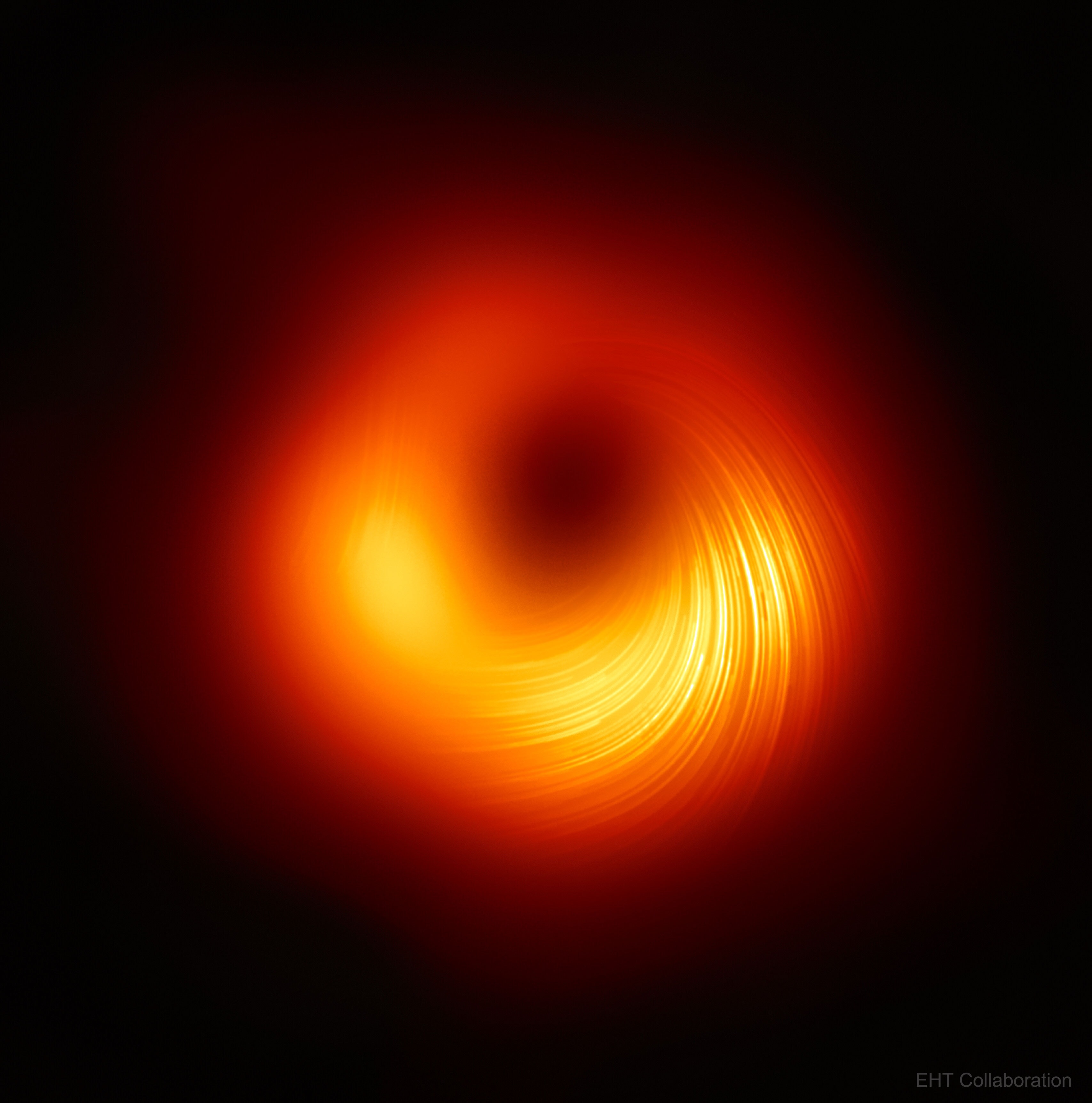 To play on Carl Sagan’s famous words "If you wish to make black hole jets, you must first create magnetic fields." The featured image represents the detected intrinsic spin direction (polarization) of radio waves.  The polarizationi is produced by the powerful magnetic field surrounding the supermassive black hole at the center of elliptical galaxy M87. The radio waves were detected by the Event Horizon Telescope (EHT), which combines data from radio telescopes distributed worldwide.  The polarization structure, mapped using computer generated flow lines, is overlaid on EHT’s famous black hole image, first published in 2019. The full 3-D magnetic field is complex.  Preliminary analyses indicate that parts of the field circle around the black hole along with the accreting matter, as expected.  However, another component seemingly veers vertically away from the black hole.  This component could explain how matter resists falling in and is instead launched into M87’s jet.