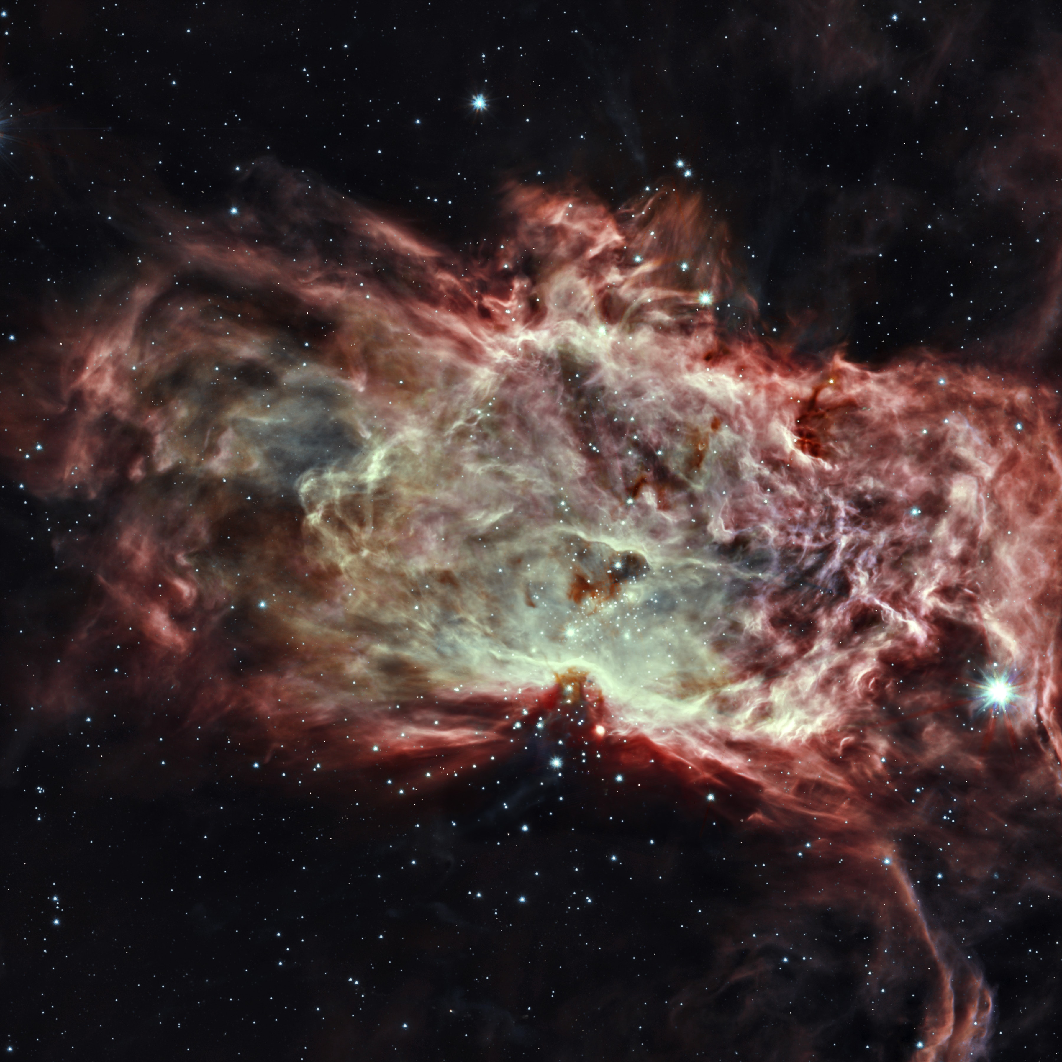 The Flame Nebula is a stand out in optical images of the dusty, crowded star forming regions toward Orion's belt and the easternmost belt star Alnitak, a mere 1,400 light-years away. Alnitak is the bright star at the right edge of this infrared image from the Spitzer Space Telescope. About 15 light-years across, the infrared view takes you inside the nebula's glowing gas and obscuring dust clouds though. It reveals many stars of the recently formed, embedded cluster NGC 2024 concentrated near the center. The stars of NGC 2024 range in age from 200,000 years to 1.5 million years young. In fact, data indicate that the youngest stars are concentrated near the middle of the Flame Nebula cluster. That's the opposite of the simplest models of star formation for a stellar nursery that predict star formation begins in the denser center of a molecular cloud core. The result requires a more complex model for star formation inside the Flame Nebula.
