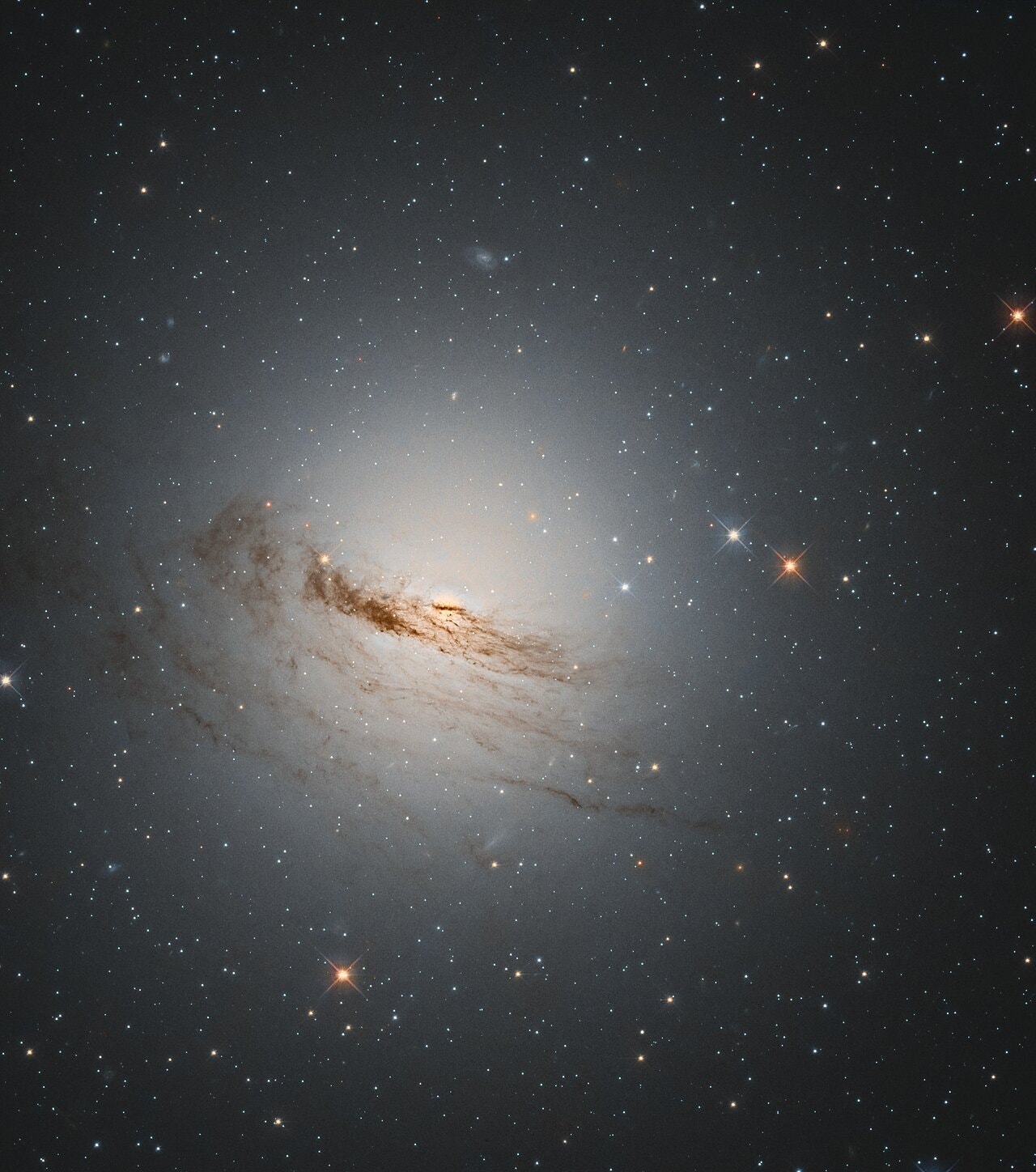 Found in far southern skies, deep within the boundaries of the constellation Dorado, NGC 1947 is some 40 million light-years away. In silhouette against starlight, obscuring lanes of cosmic dust thread across the peculiar galaxy's bright central regions. Unlike the rotation of stars, gas, and dust tracing the arms of spiral galaxies, the motions of dust and gas don't follow the motions of stars in NGC 1947 though. Their more complicated disconnected motion suggest this galaxy's visible threads of dust and gas may have come from a donor galaxy, accreted by NGC 1947 during the last 3 billion years or so of the peculiar galaxy's evolution. With spiky foreground Milky Way stars and even more distant background galaxies scattered through the frame, this sharp Hubble image spans about 25,000 light-years near the center of NGC 1947.